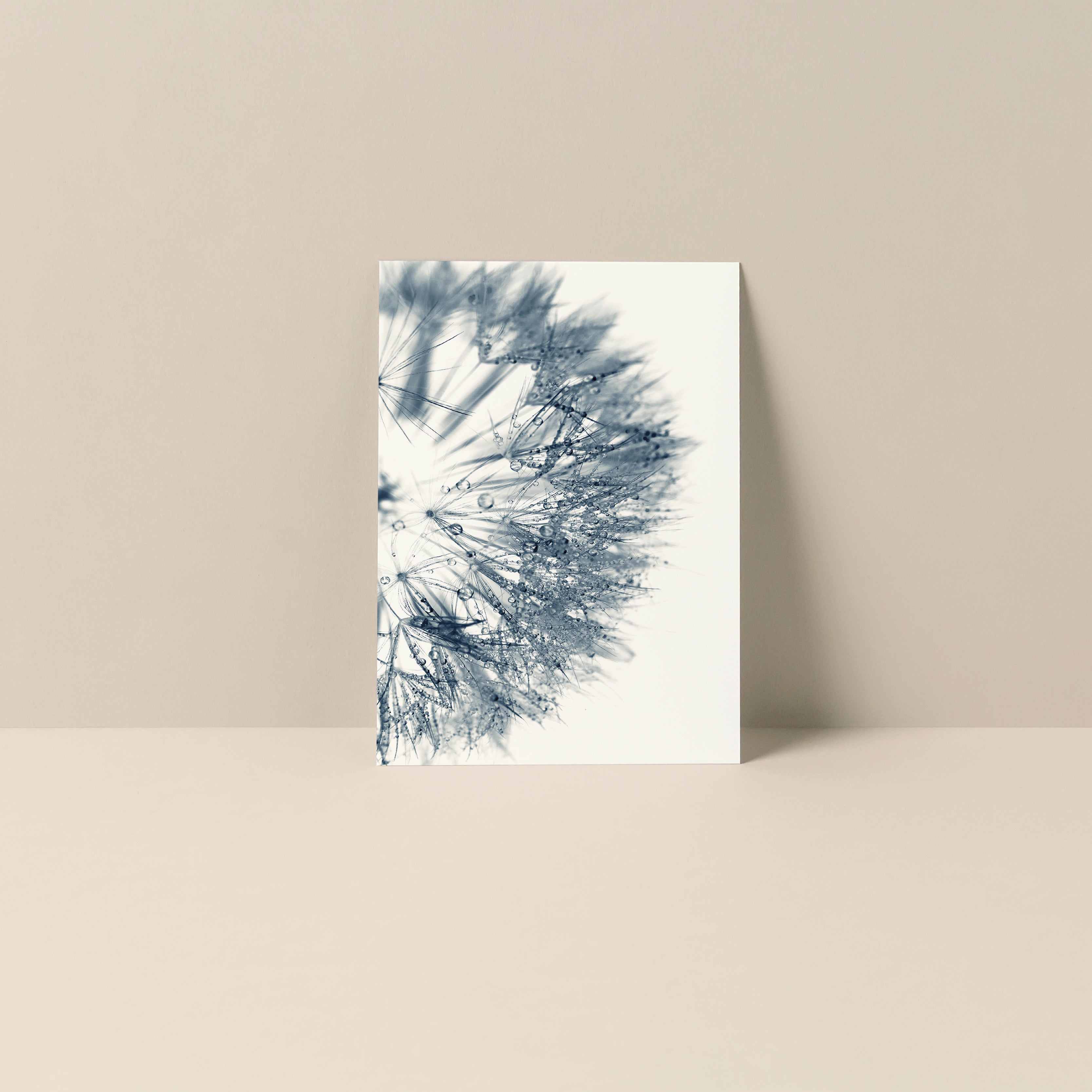 Blank Note Card - Cyan Dandelion featuring a Peony flower photograph by Alicia Bock