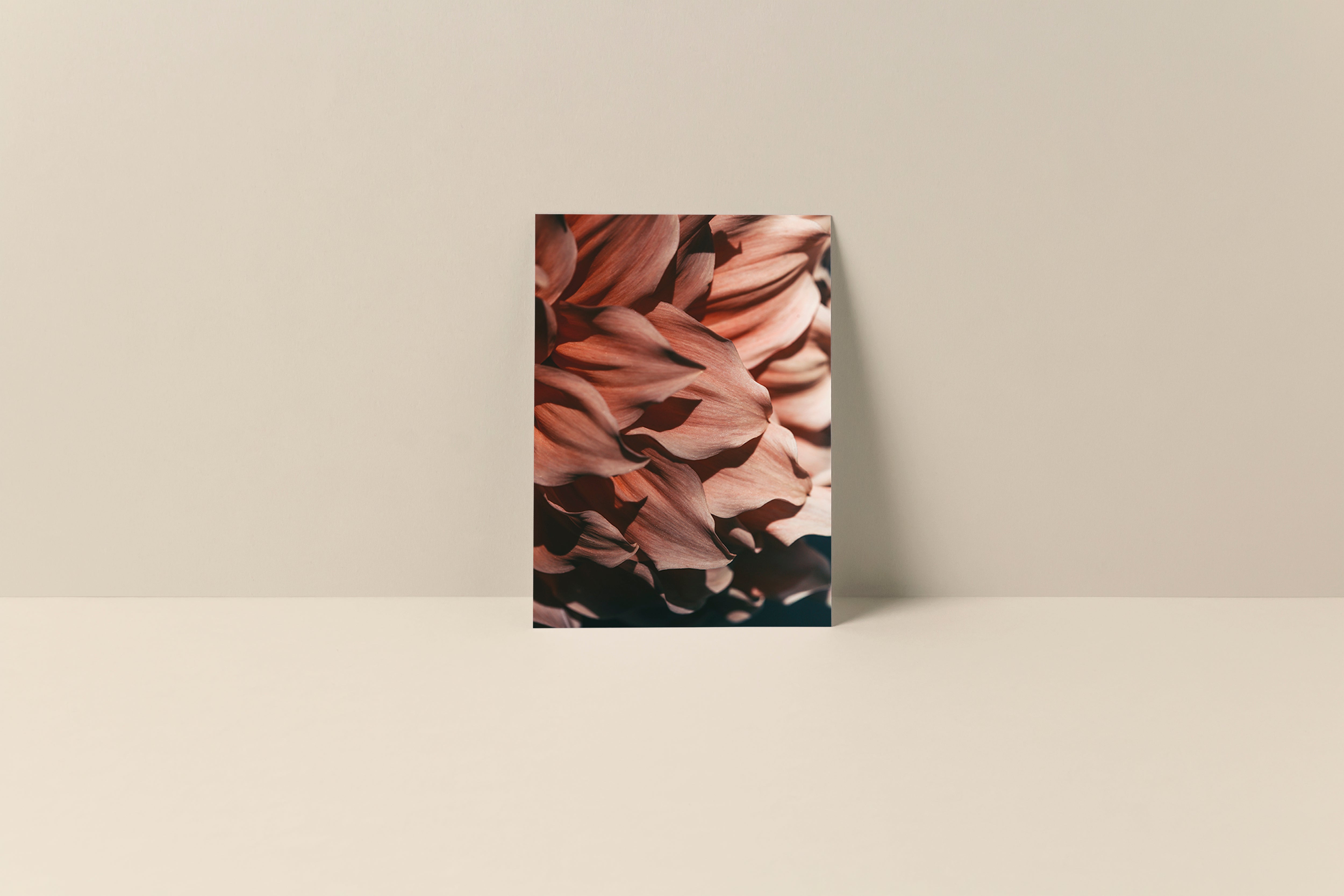 Drama Queen - Blank Note Card