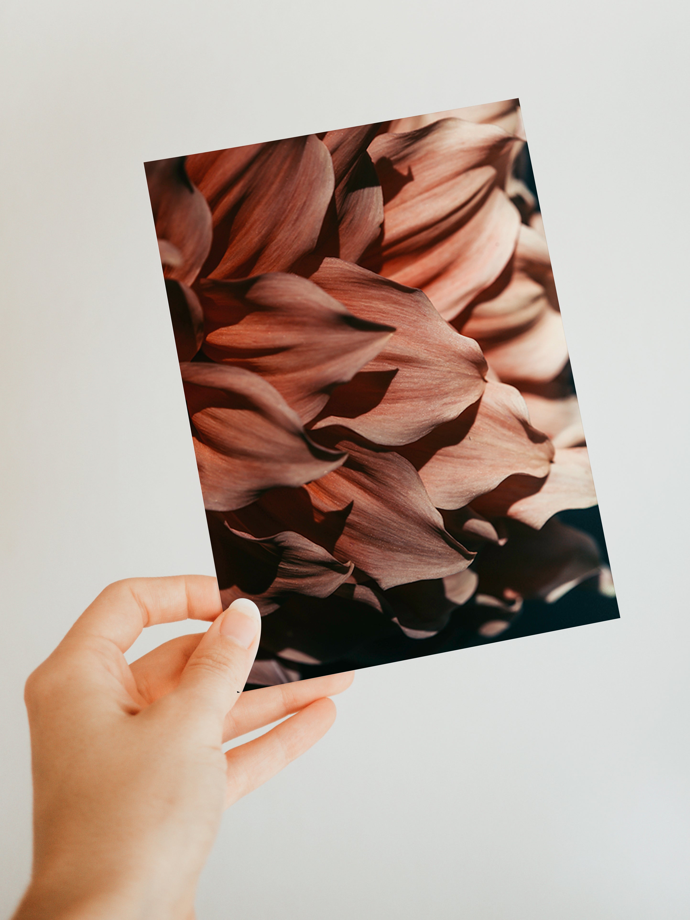 Drama Queen blank note card displaying Alicia Bock's print on smooth matte cardstock, with matching envelope