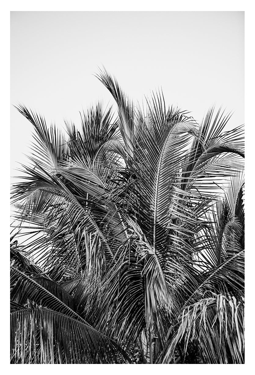 Modern Black And White Photograph - No. 13 by Alicia Bock Print Shop - main product image for Resin Society