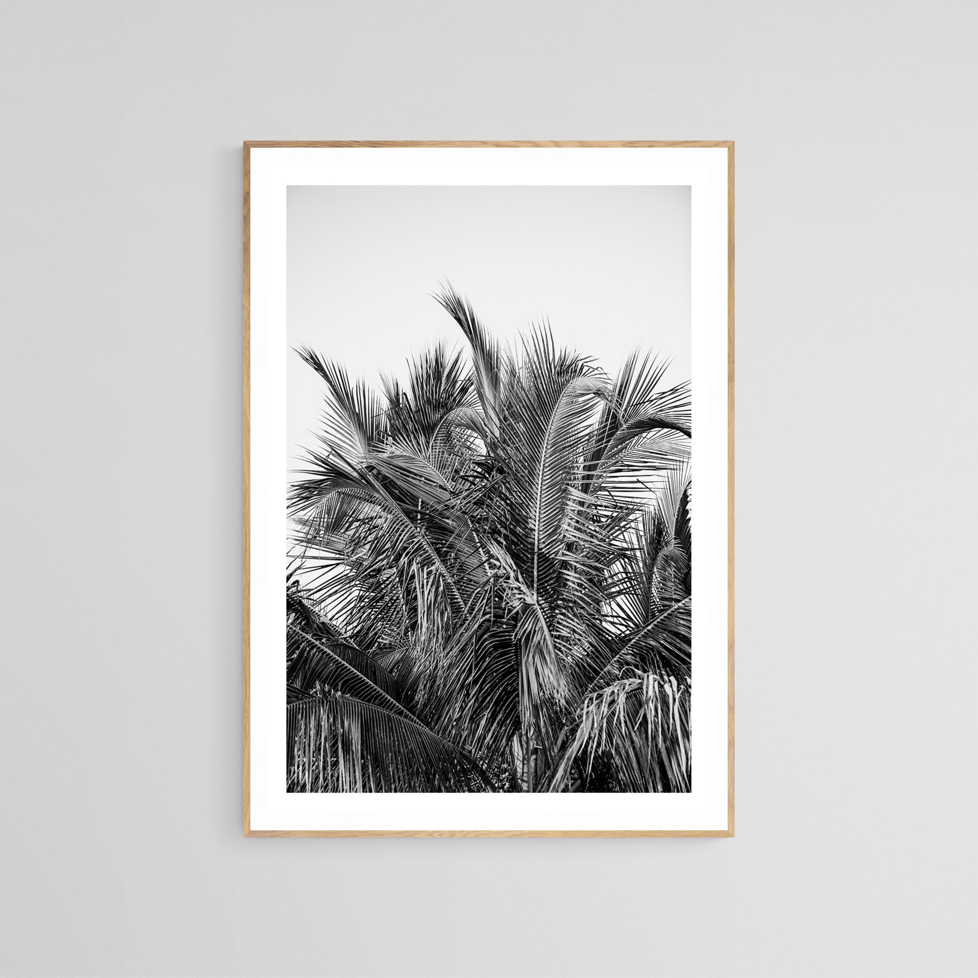 Modern Black And White Photograph - No. 13 by Alicia Bock Print Shop - product image 2 for Resin Society
