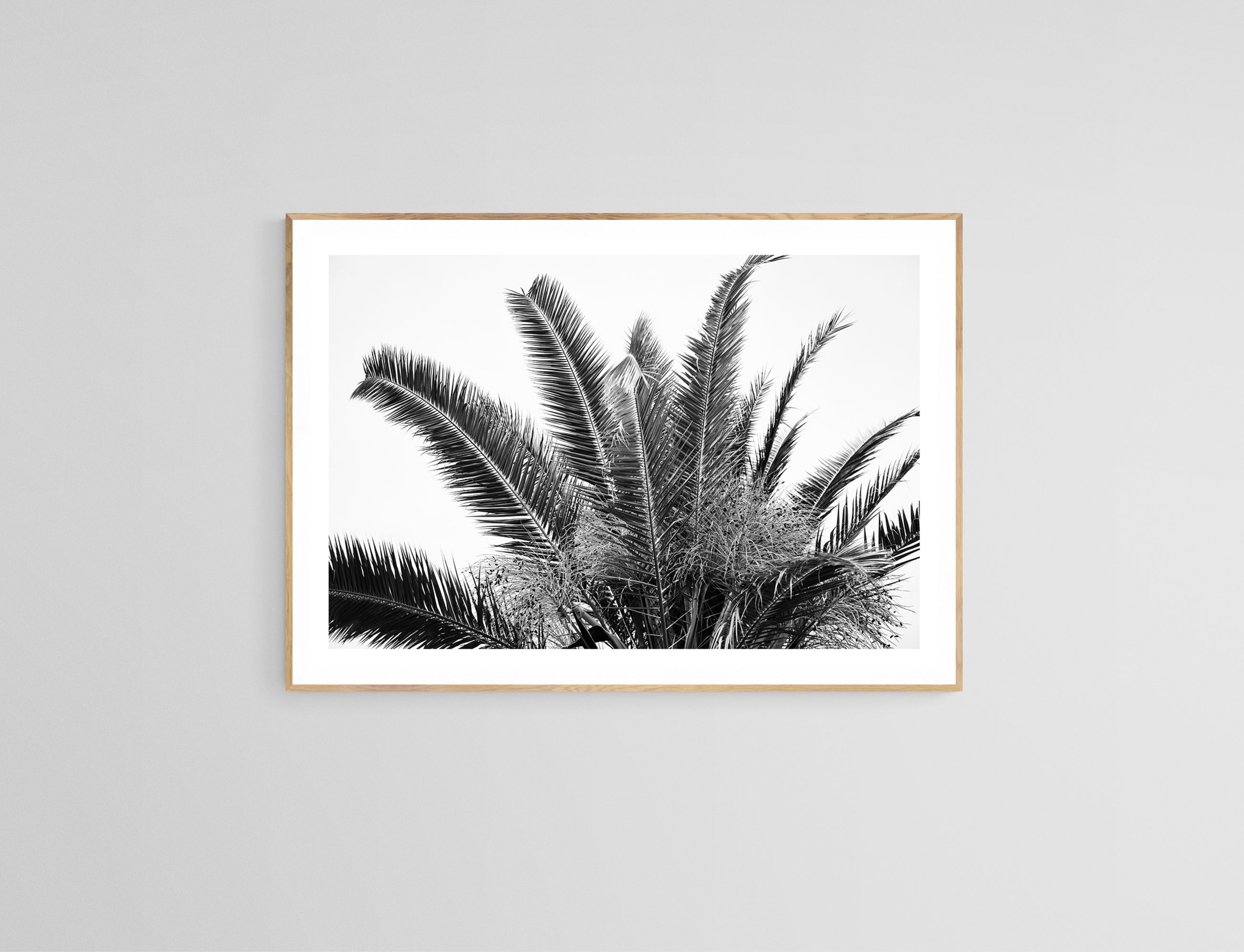 Modern Black And White Photograph - No. 19 by Alicia Bock Print Shop - product image 2 for Resin Society