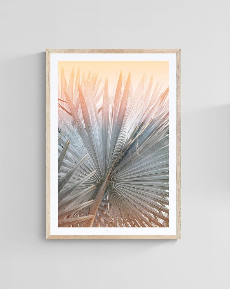 Modern Fine Art Photograph - Summer Romance by Alicia Bock Print Shop - product image 3 for Resin Society