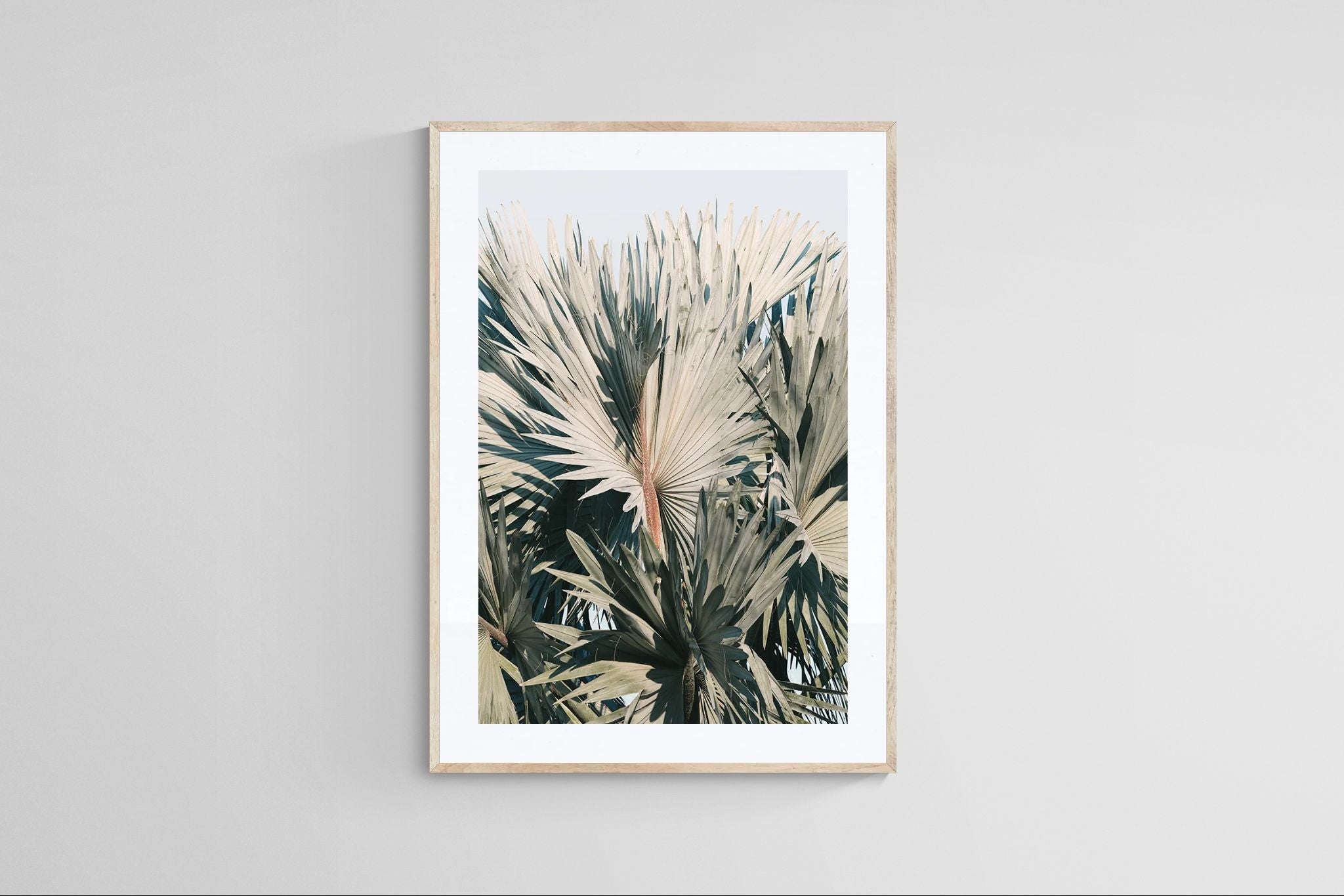 Modern Fine Art Photograph - This I Know by Alicia Bock Print Shop - product image 3 for Resin Society