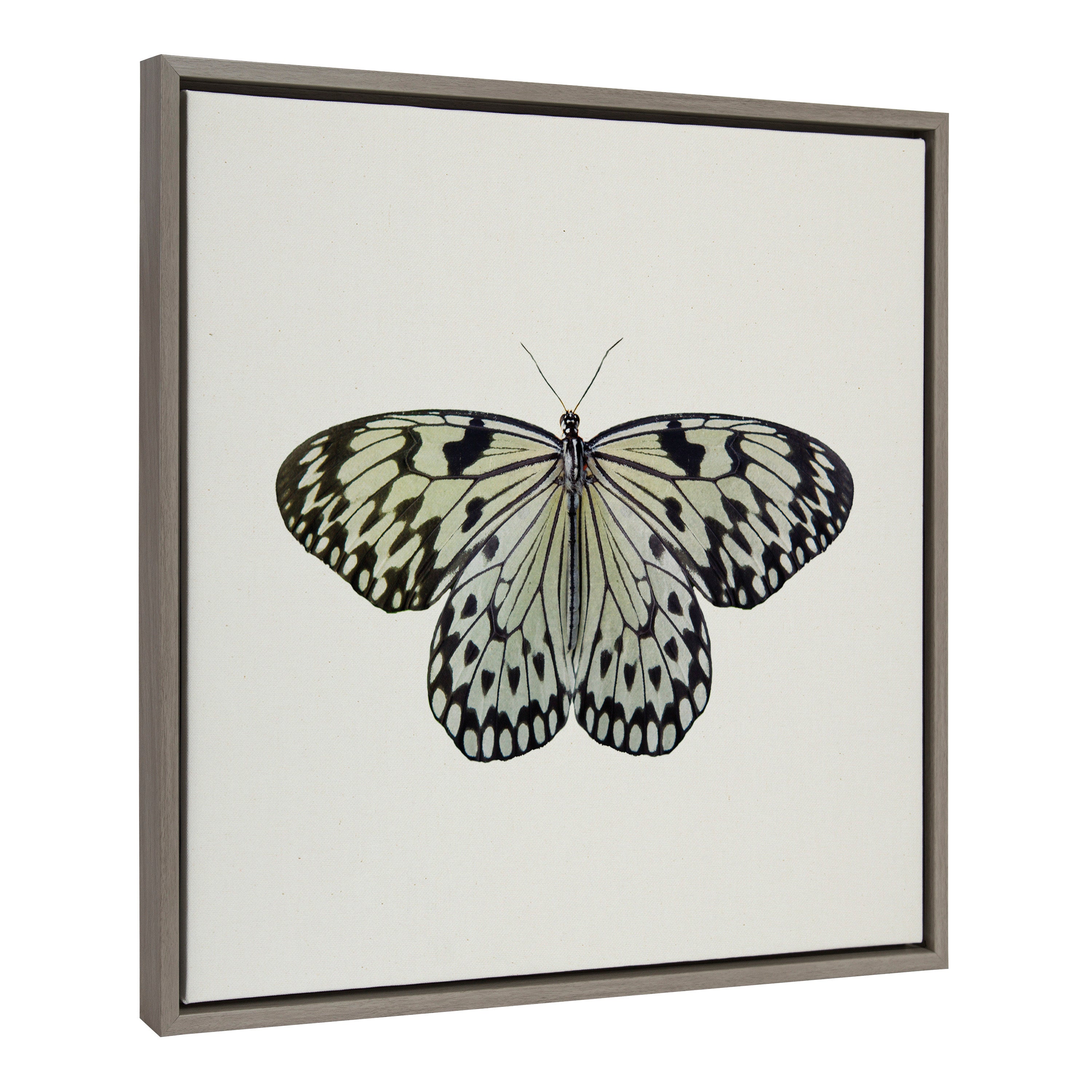 Sylvie Two Tone Butterfly Framed Canvas by kateandlaurel - main product image for Resin Society