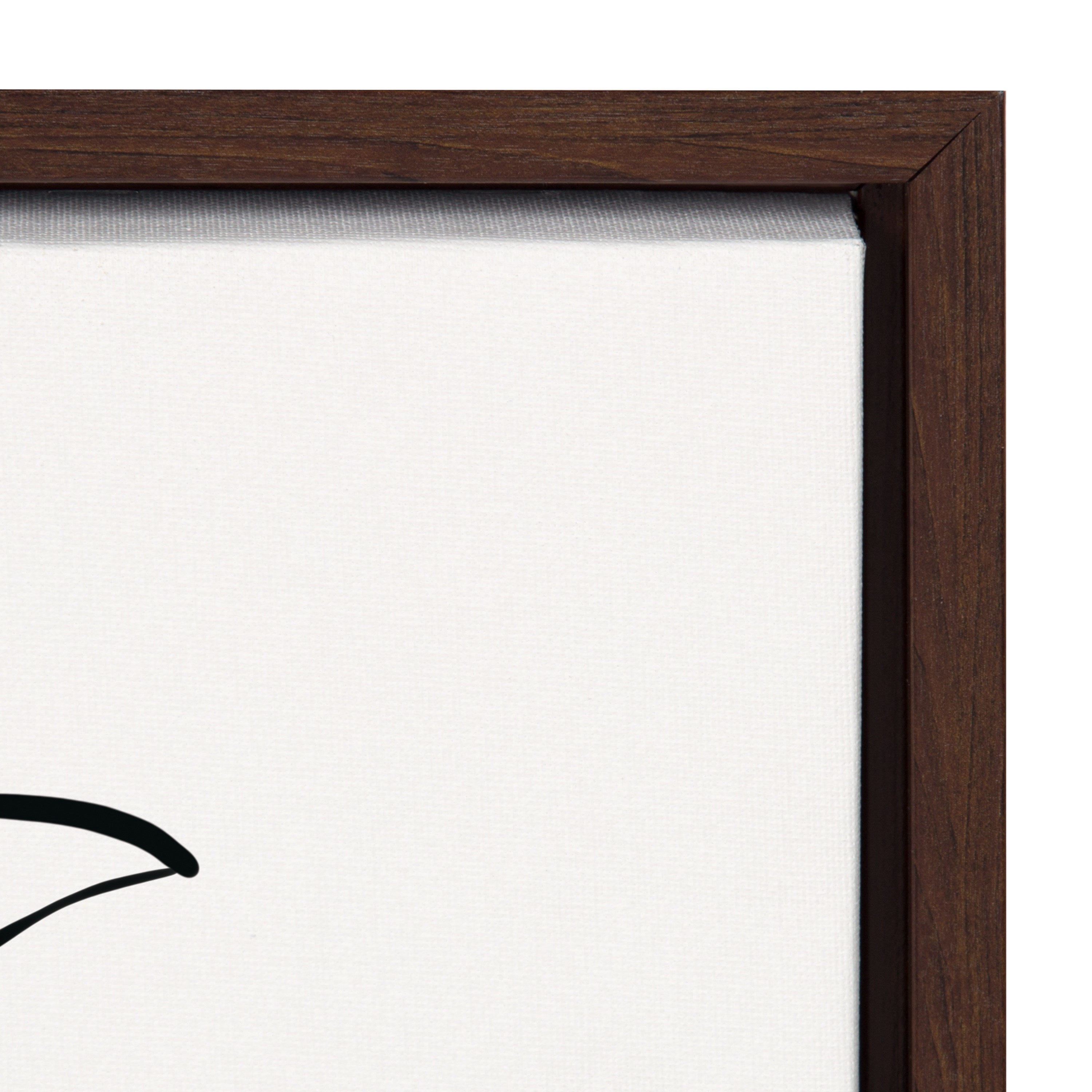 Sylvie Botanical Sketch Print No 2 Framed Canvas