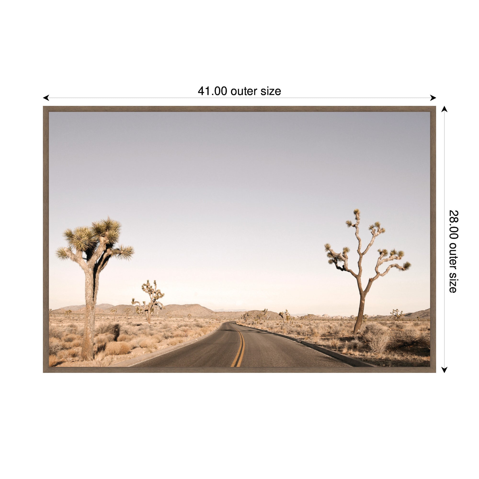 Driving Joshua Tree No.
3 by Alicia Bock Framed Canvas Wall Art Print