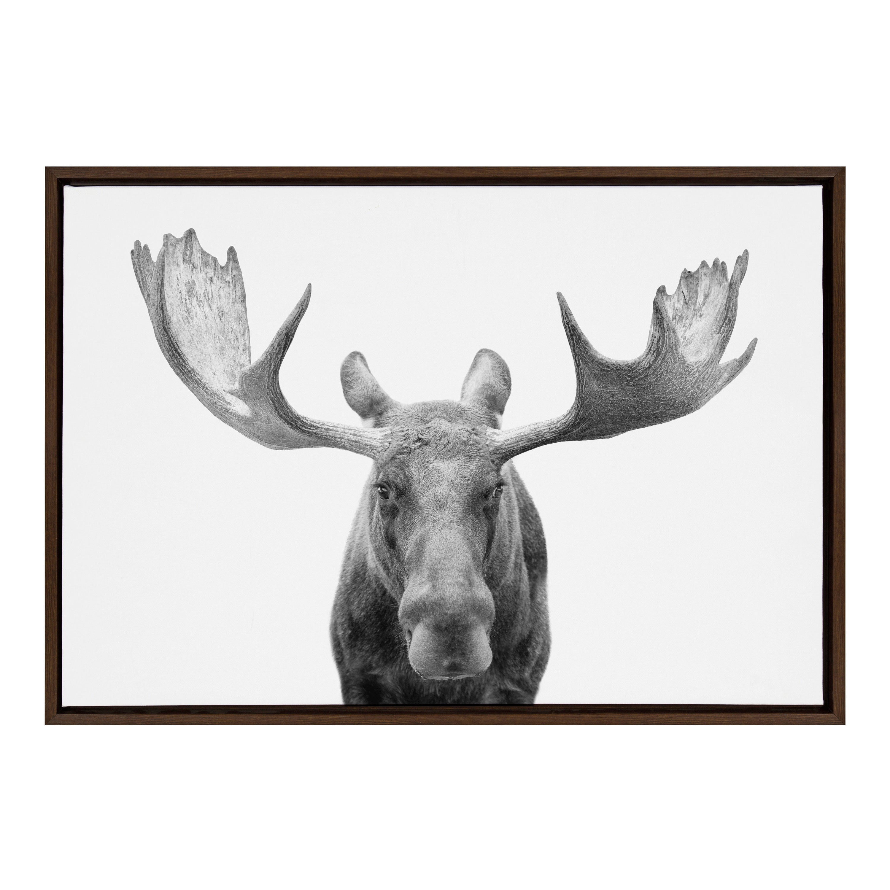 Sylvie Moose Black and White Framed Canvas by Amy Peterson Art Studio