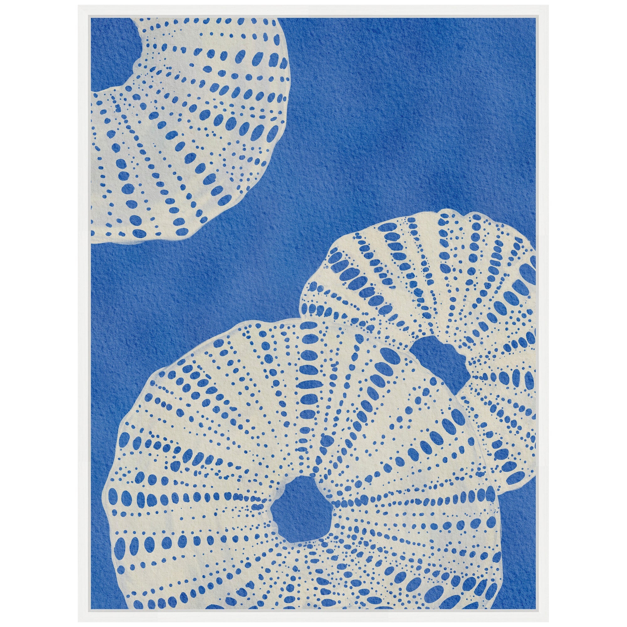 Sylvie Ocean Charms II Framed Canvas by Nikita Jariwala