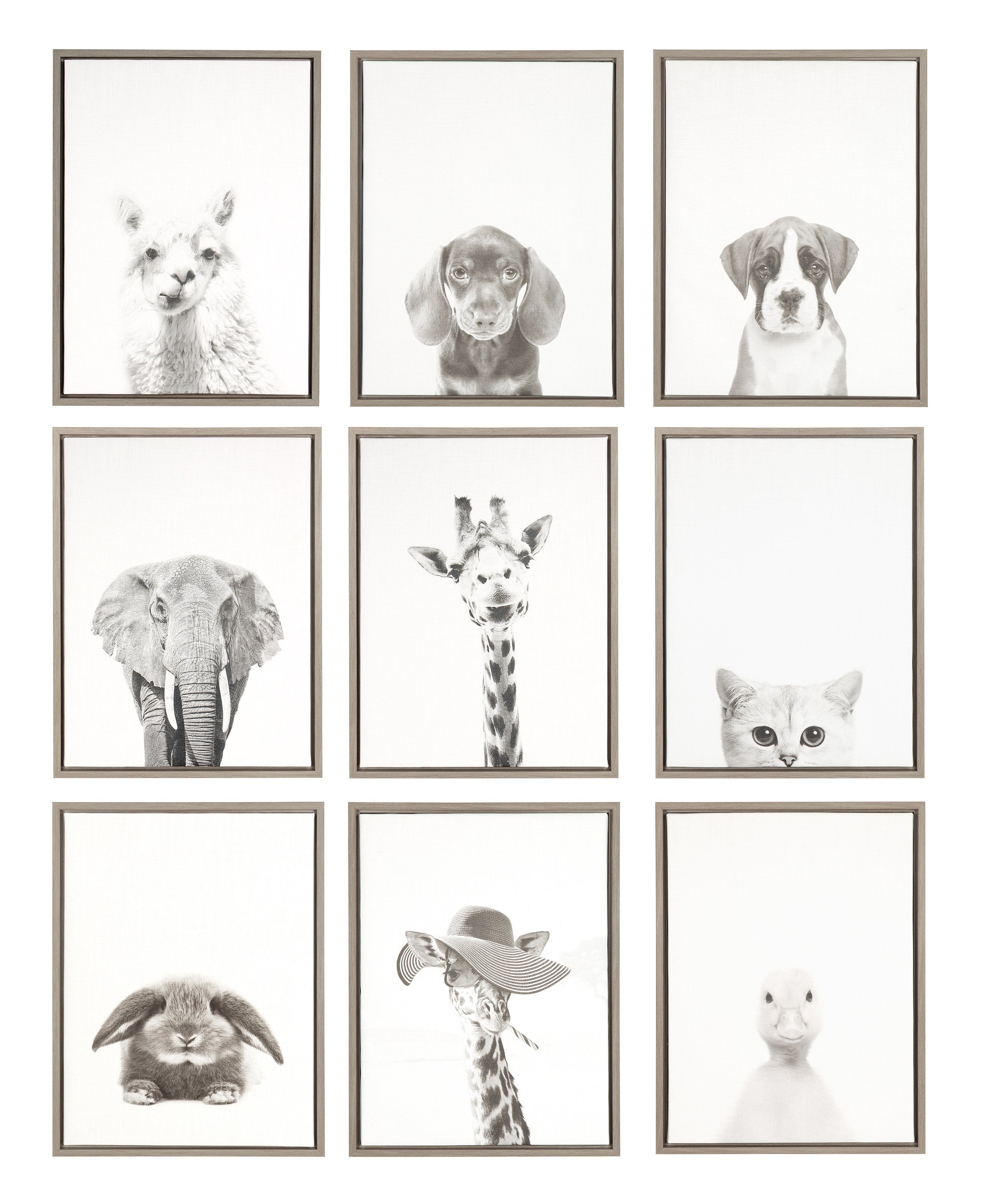Sylvie Alpaca Framed Canvas by Simon Te of Tai Prints