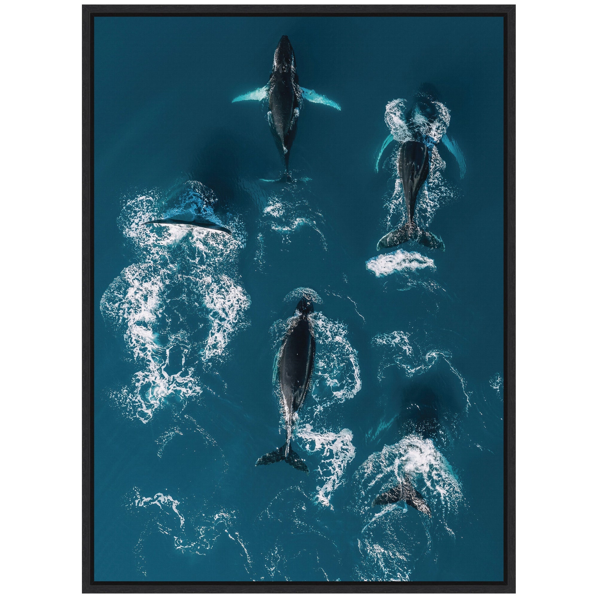 Sylvie School of Humpback Whales in the Blue Ocean Framed Canvas by Michael Schauer