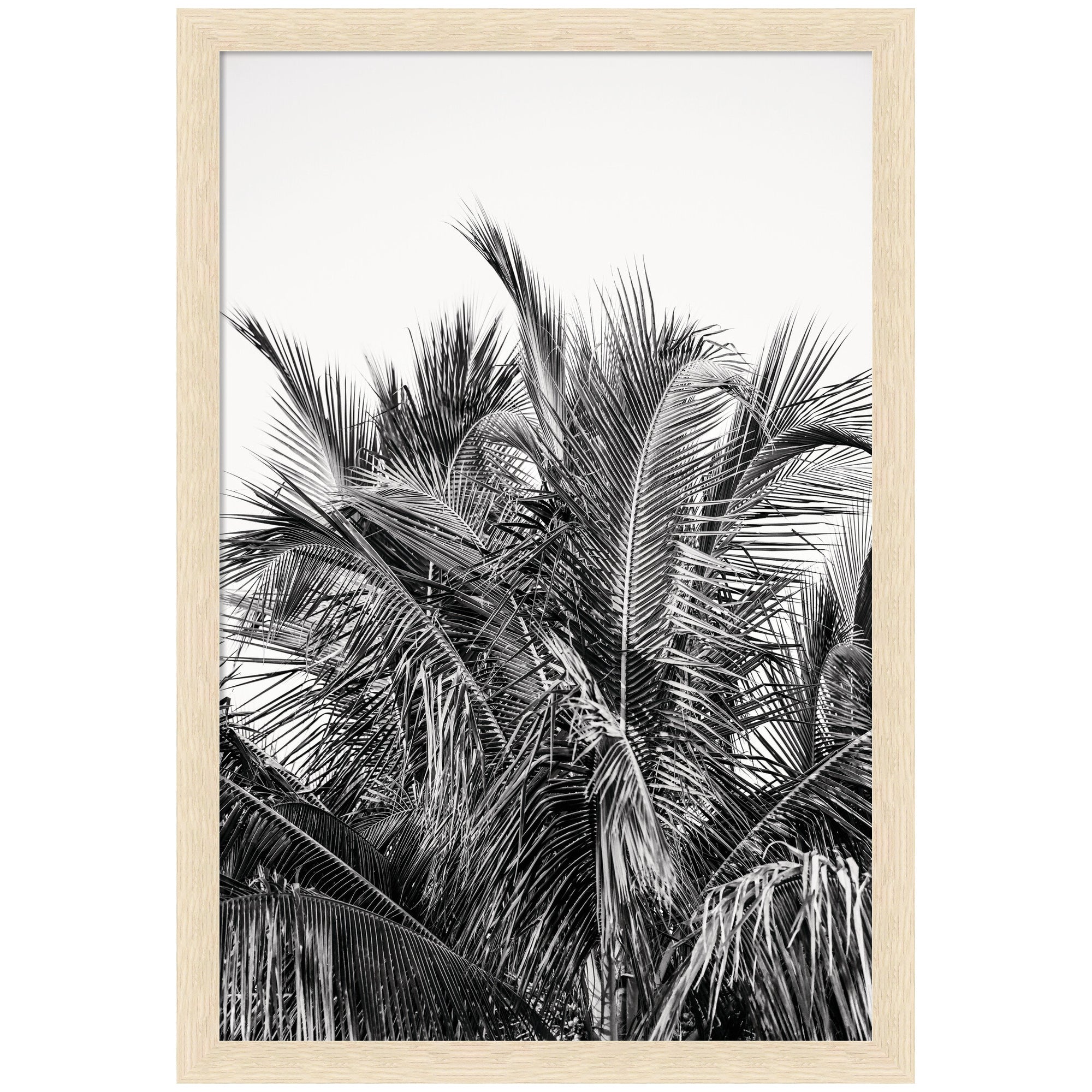 No 13 by Alicia Bock Framed Wall Art Print