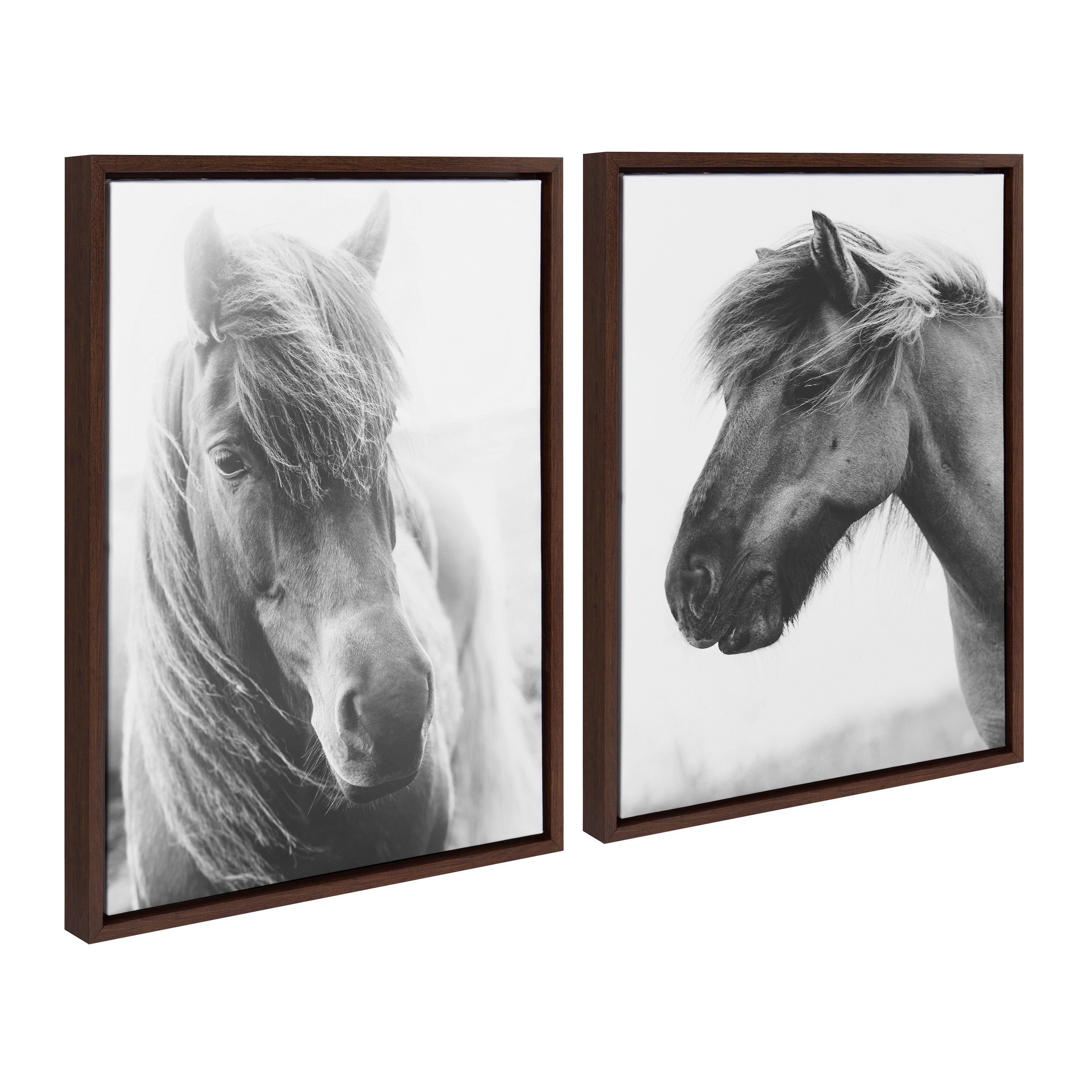 Sylvie Benevolence and Indomitable Framed Canvas Set by Alicia Abla by kateandlaurel - product image 2 for Resin Society
