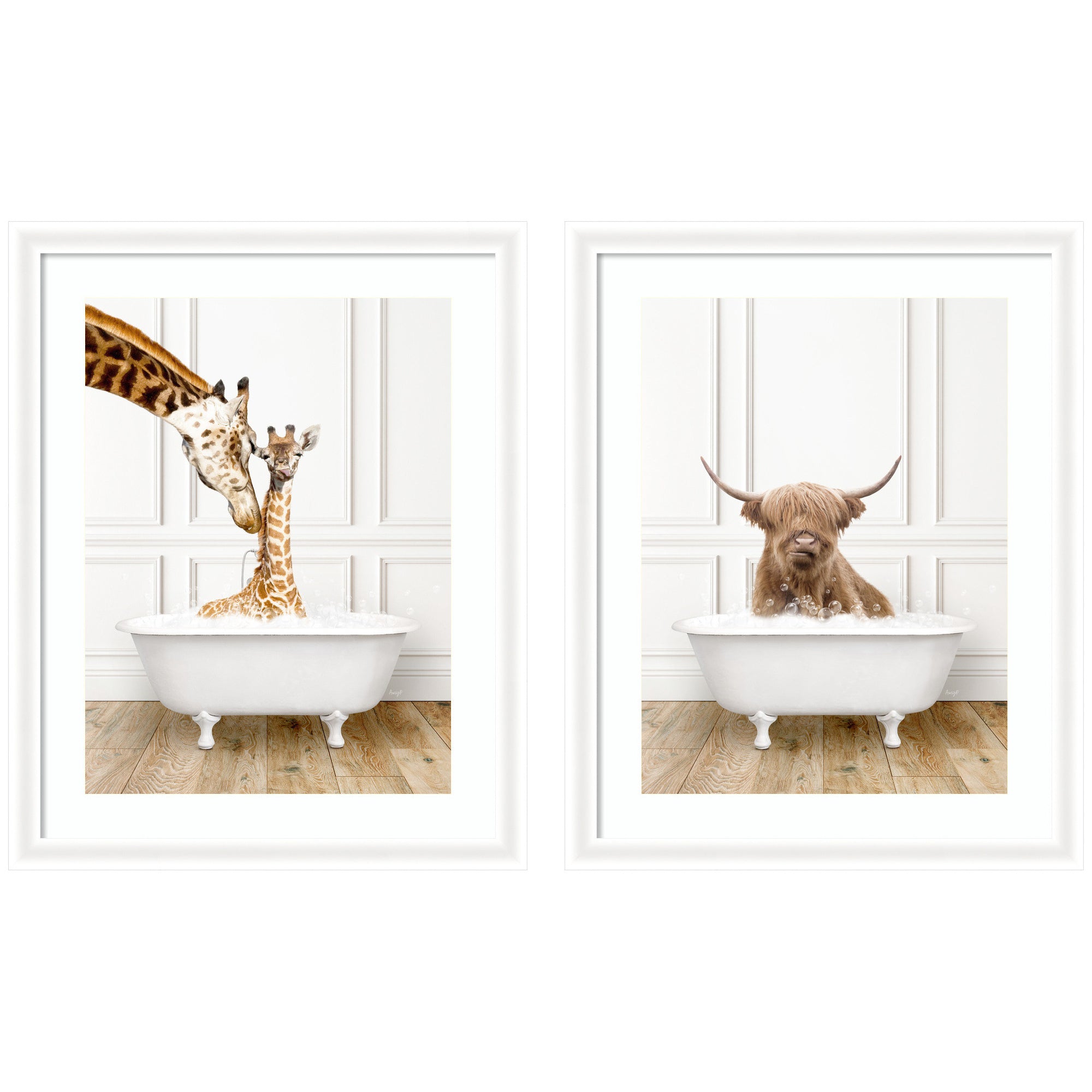 Two framed prints of Highland Cow and Giraffe sitting in a traditional bathtub set side by side