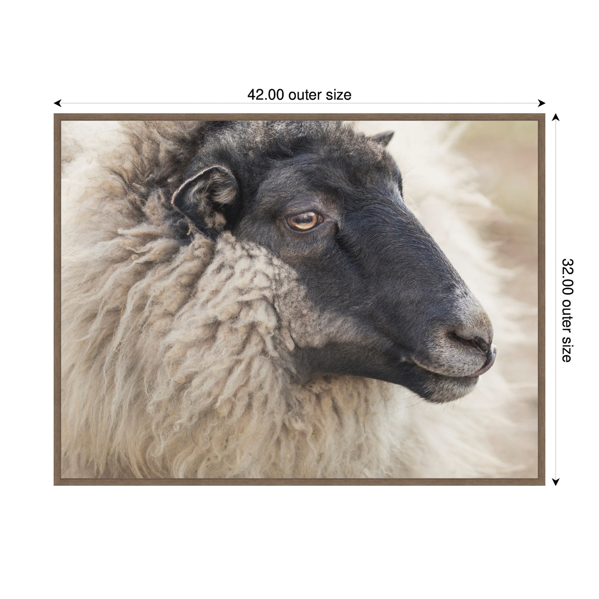 Edward Crop by Emiko and Mark Franzen F2 Images Framed Canvas Wall Art Print