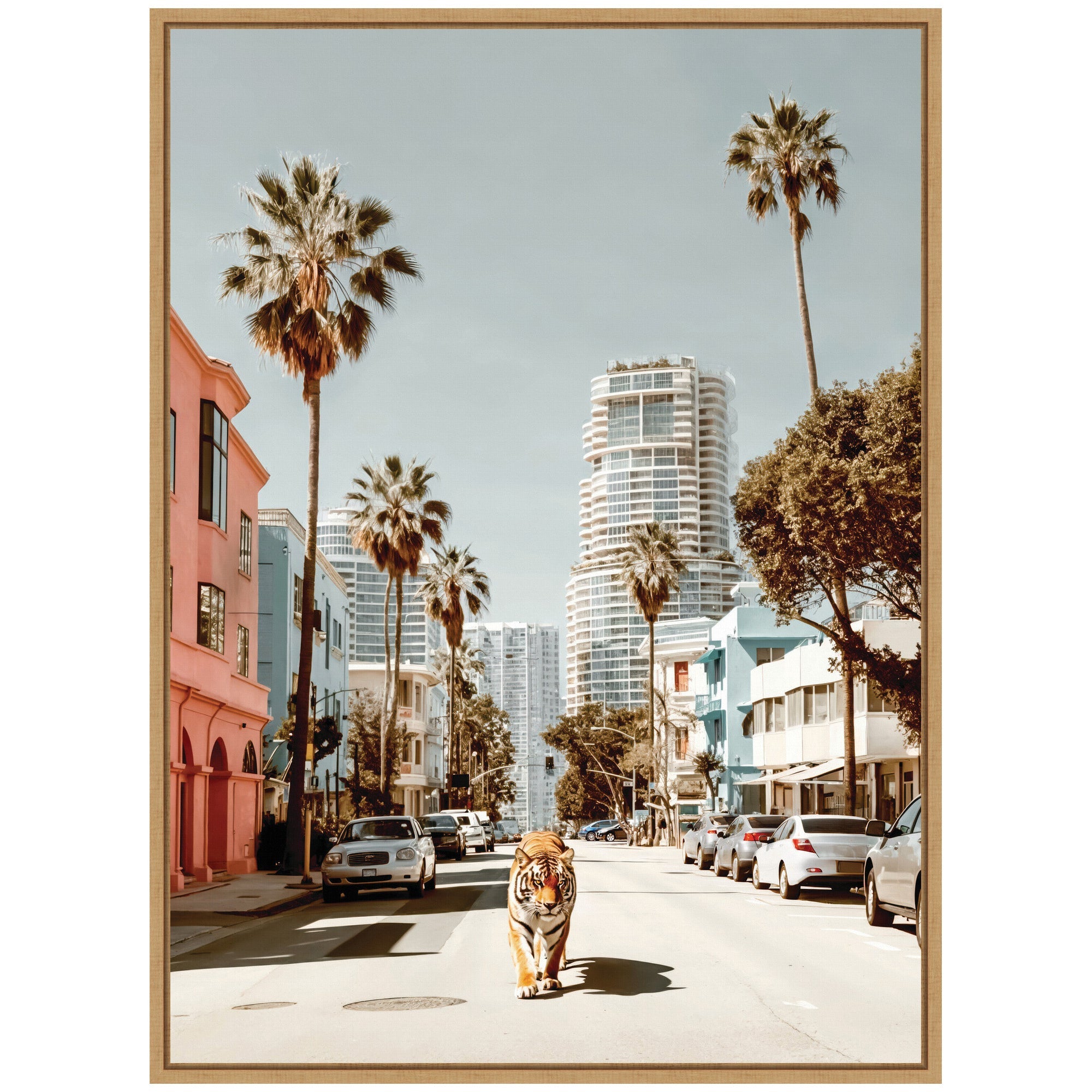 Sylvie California Tiger Roaming through Palm Springs Framed Canvas by Michael Schauer