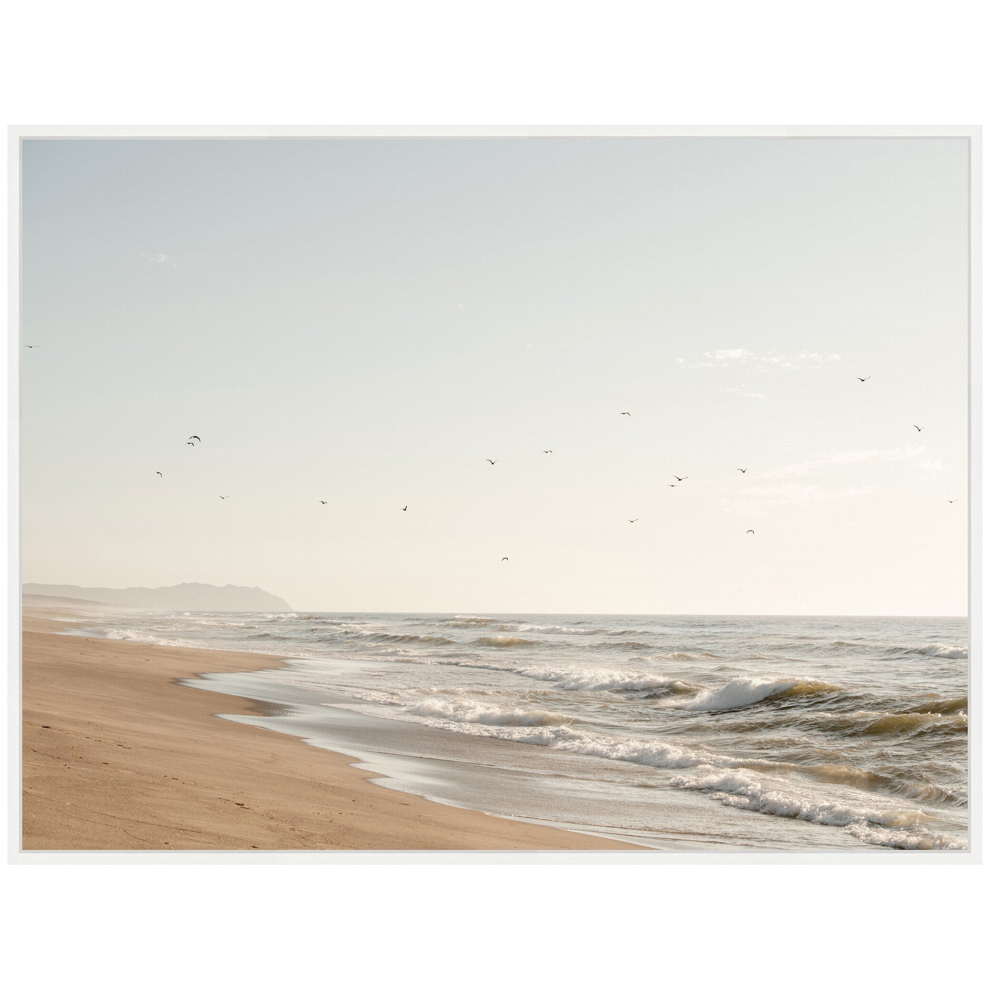 Sylvie Coastal Flight Framed Canvas by Crystal Lynn Collins