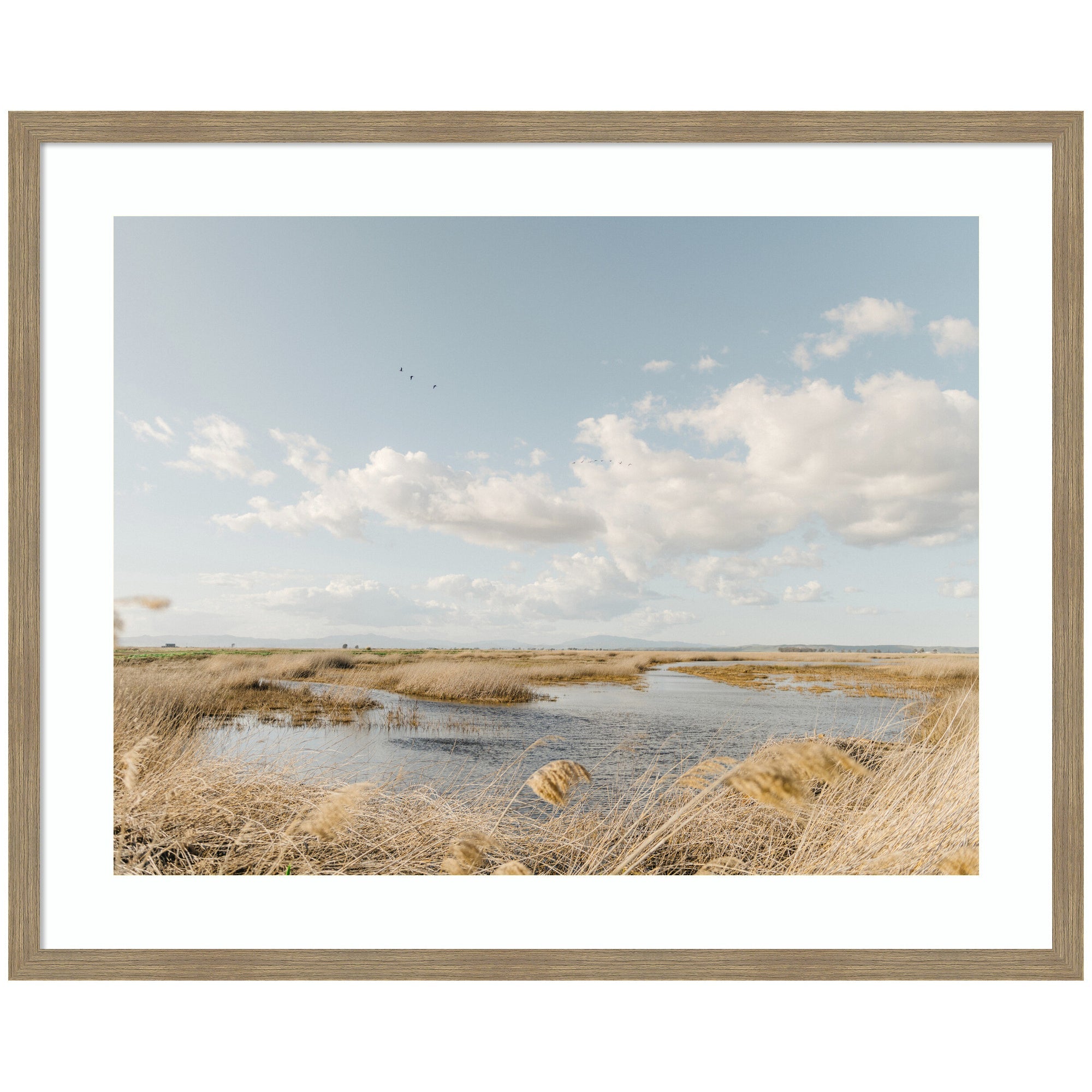 Framed Art Marshland by Crystal Lynn Collins