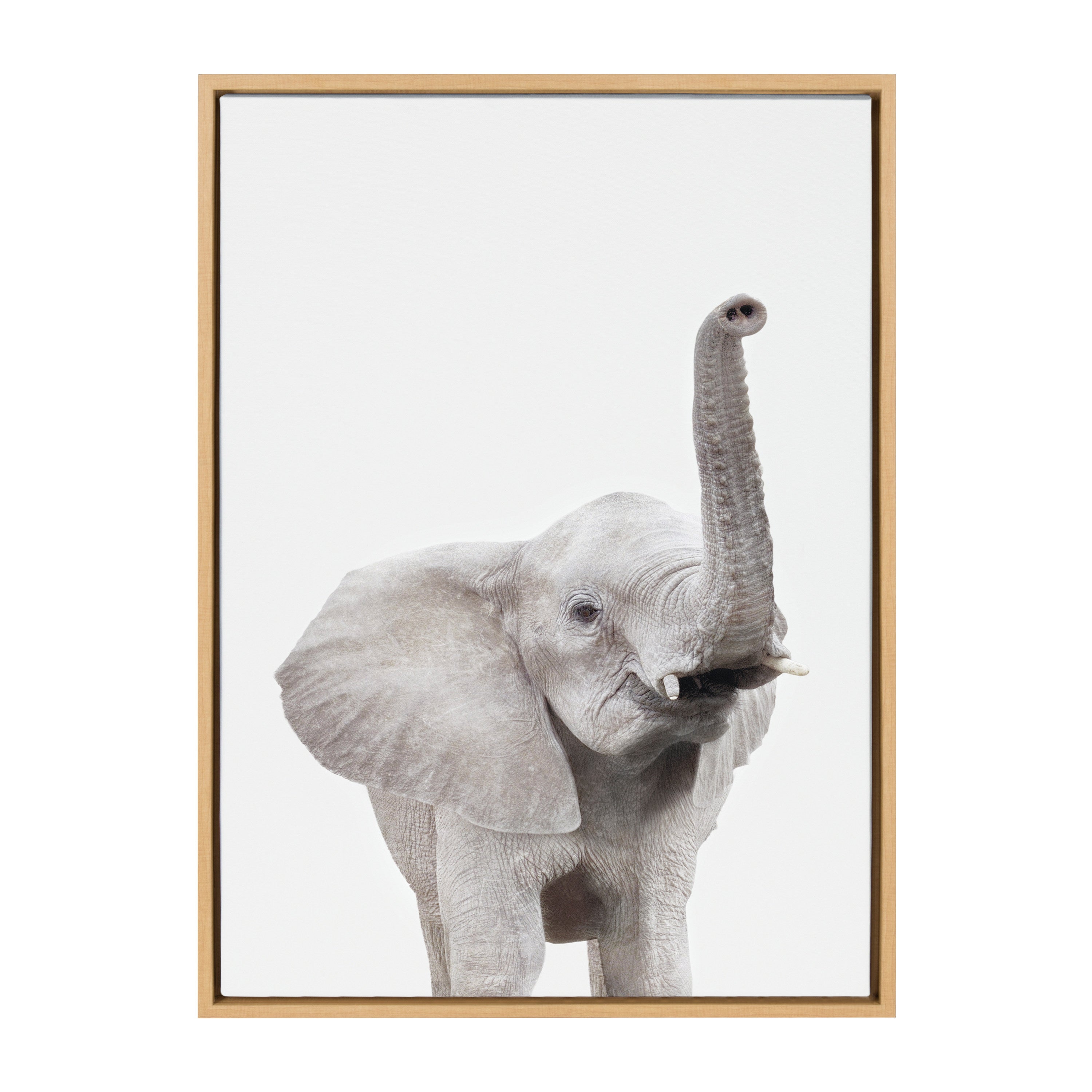 Sylvie Young Elephant Framed Canvas by Amy Peterson by kateandlaurel - product image 6 for Resin Society
