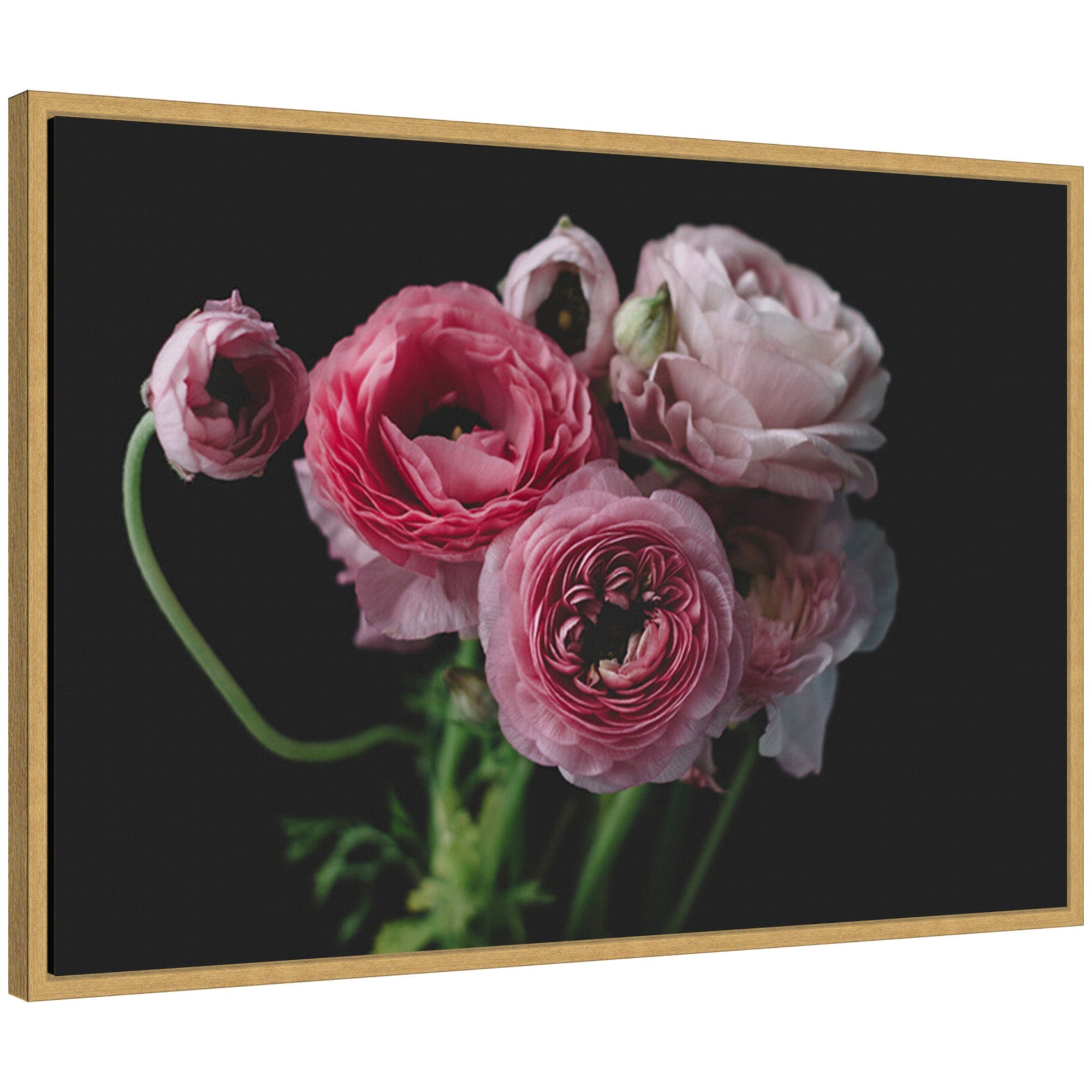 Sylvie Mood Dark Pink Ranunculus Flower Bouquet Framed Canvas by Kristy Campbell