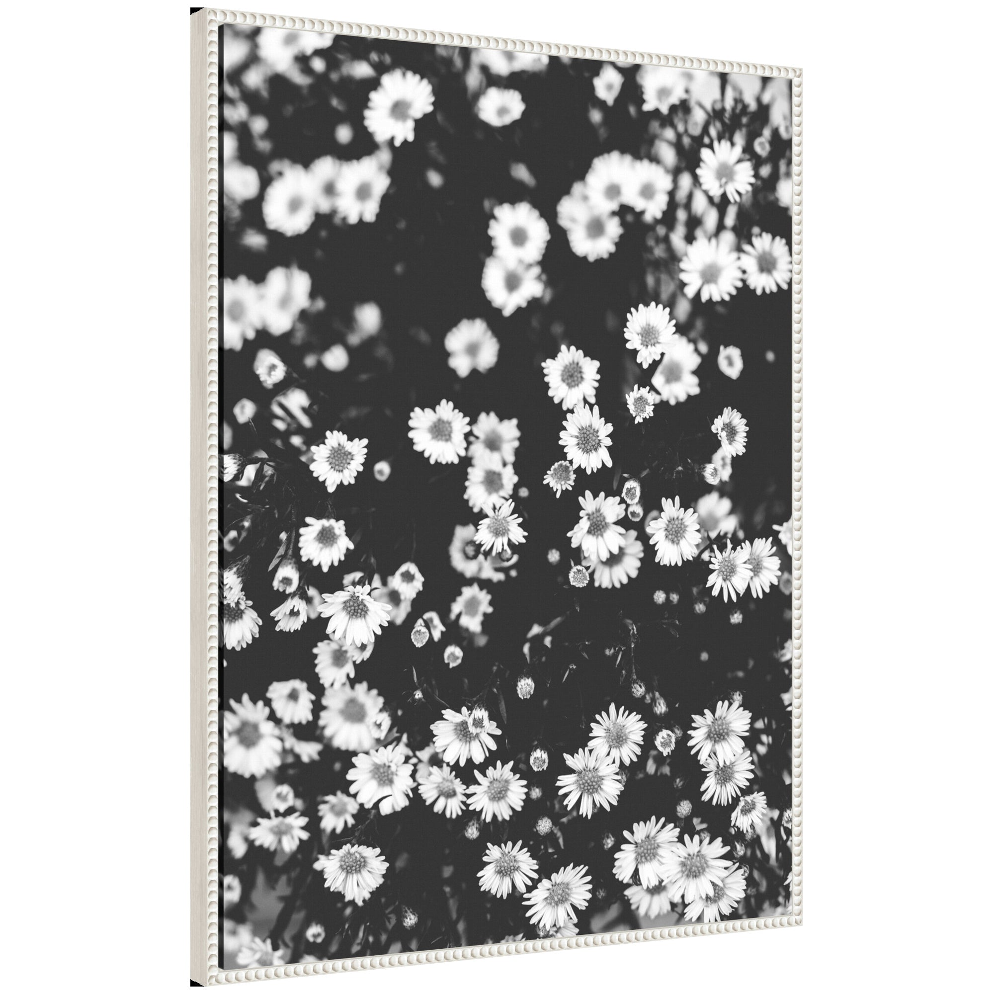 Sylvie Chamomile framed canvas art featuring chamomile floral design in a vintage beaded frame