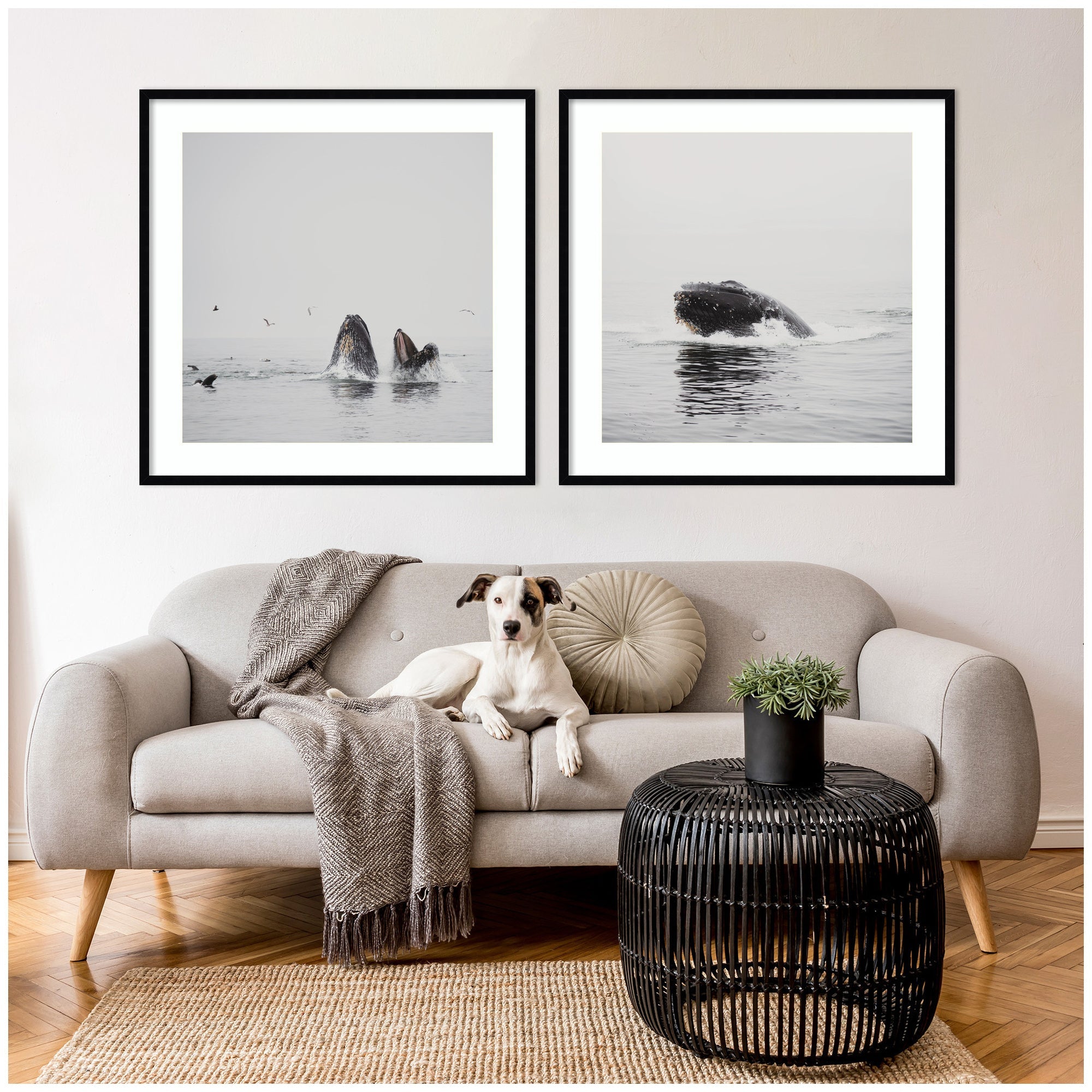 Humpback Whale 2 Piece Framed Wall Art Print Set by Laura Evans