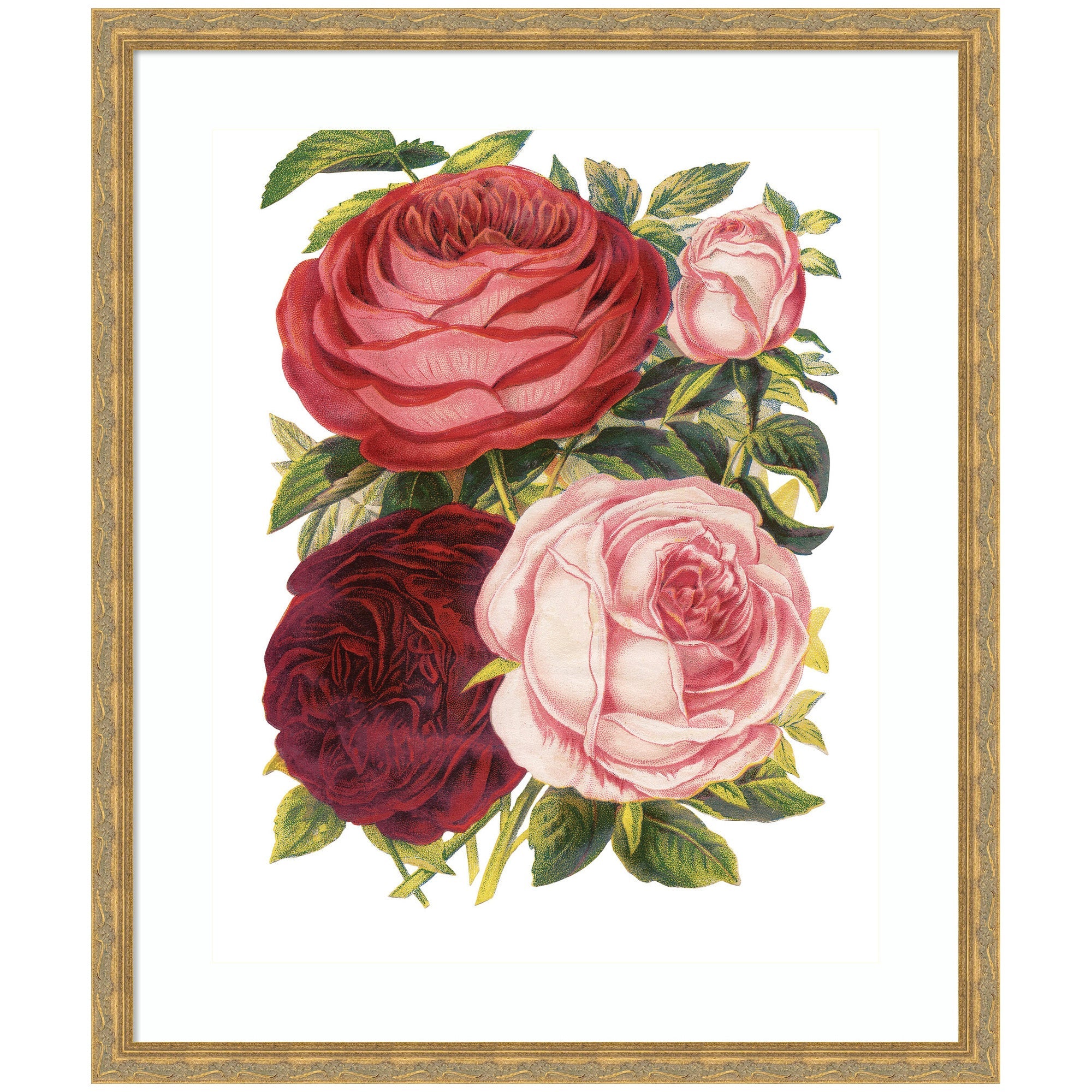 Framed Victorian Flowers art print showing four roses in red, pink, and white against white background