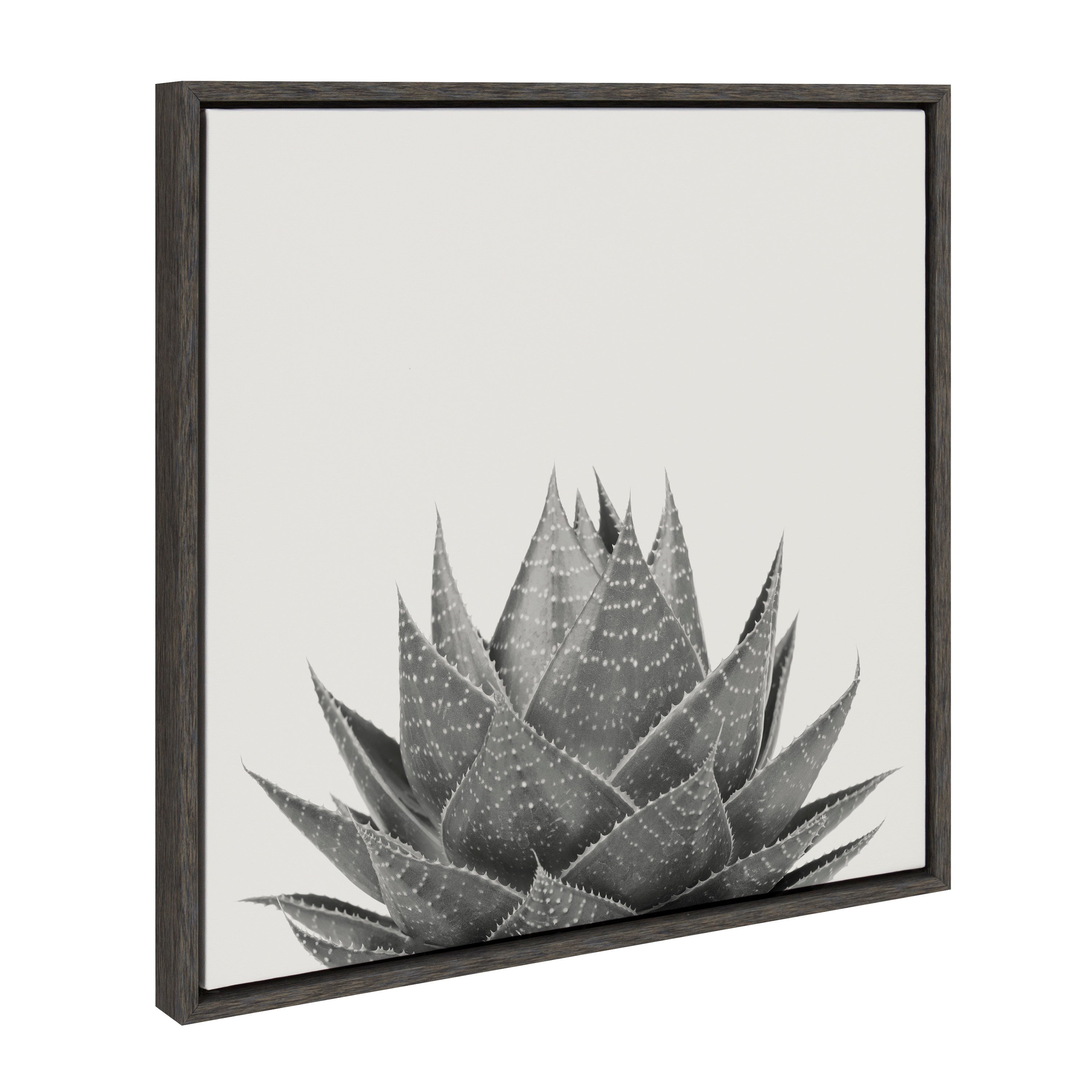 Sylvie Haze Aloe Succulent Framed Canvas by The Creative Bunch Studio by kateandlaurel - product image 11 for Resin Society