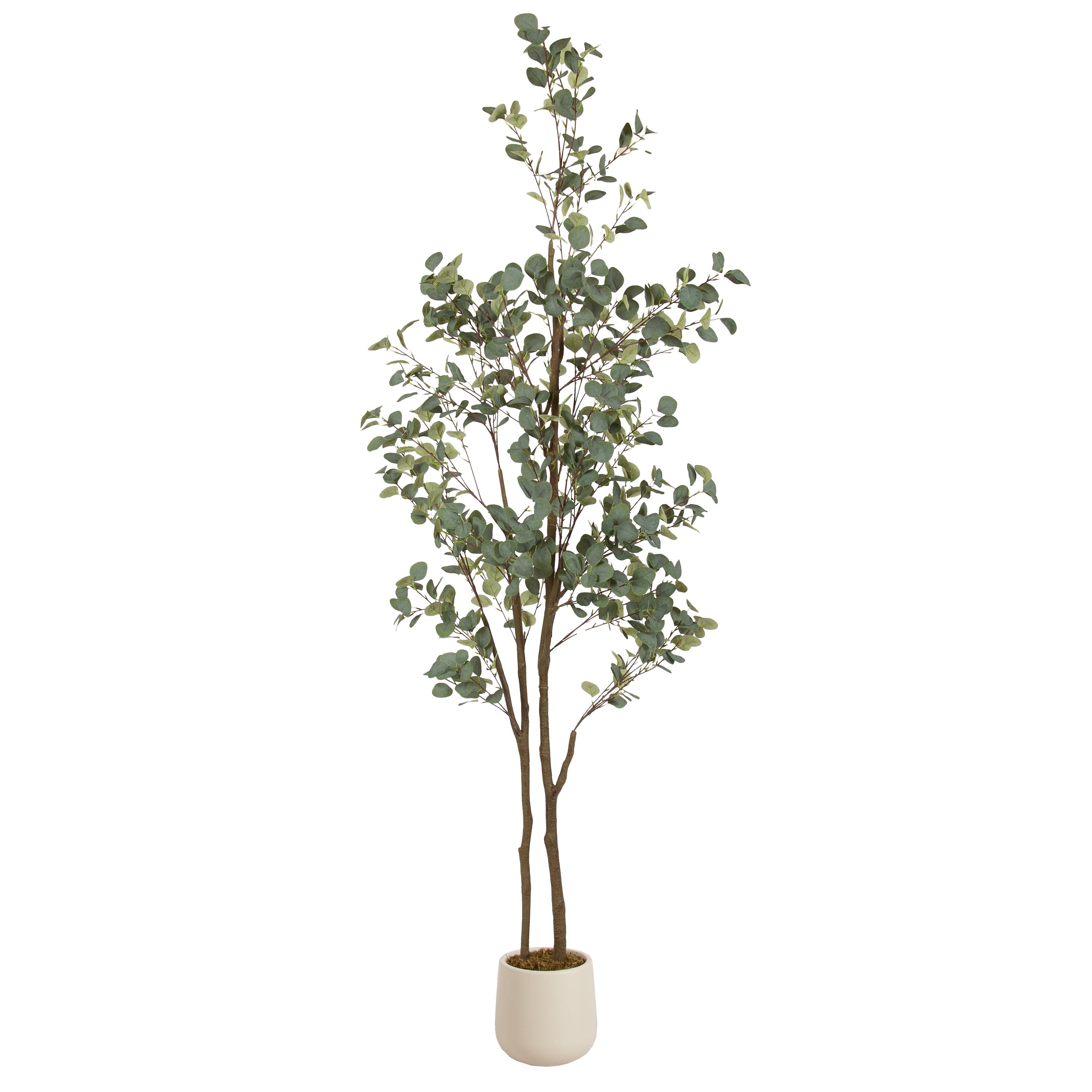 Eudora Faux Eucalyptus Tree - Kate and Laurel