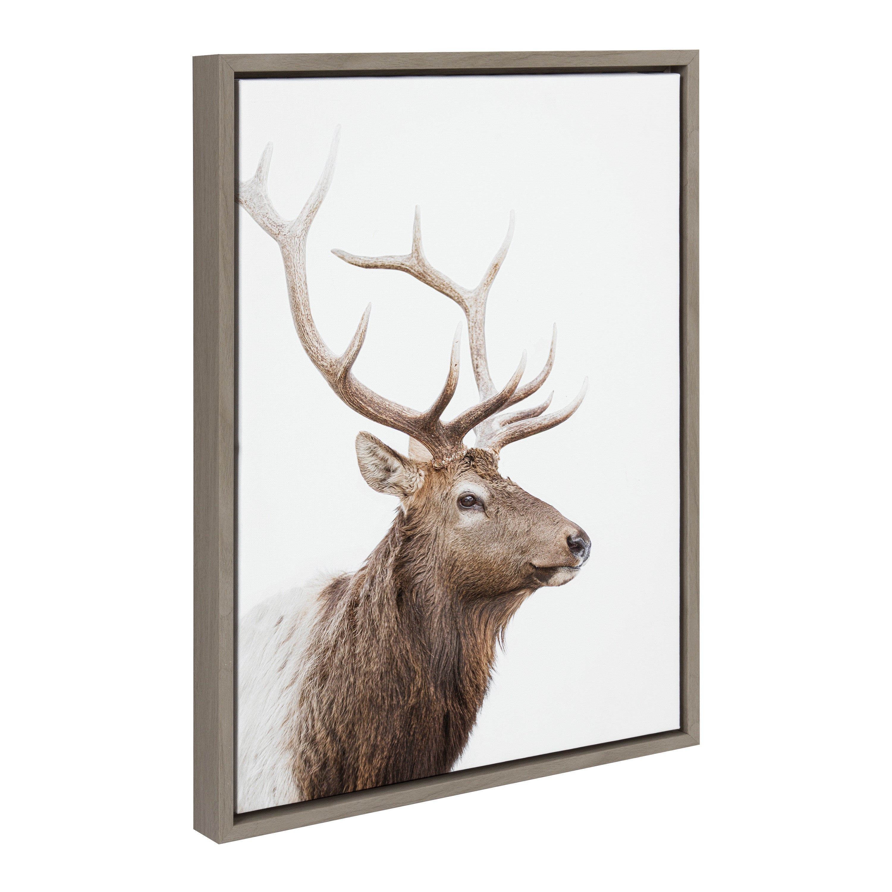 Sylvie Stag Profile Framed Canvas by Amy Peterson Art Studio