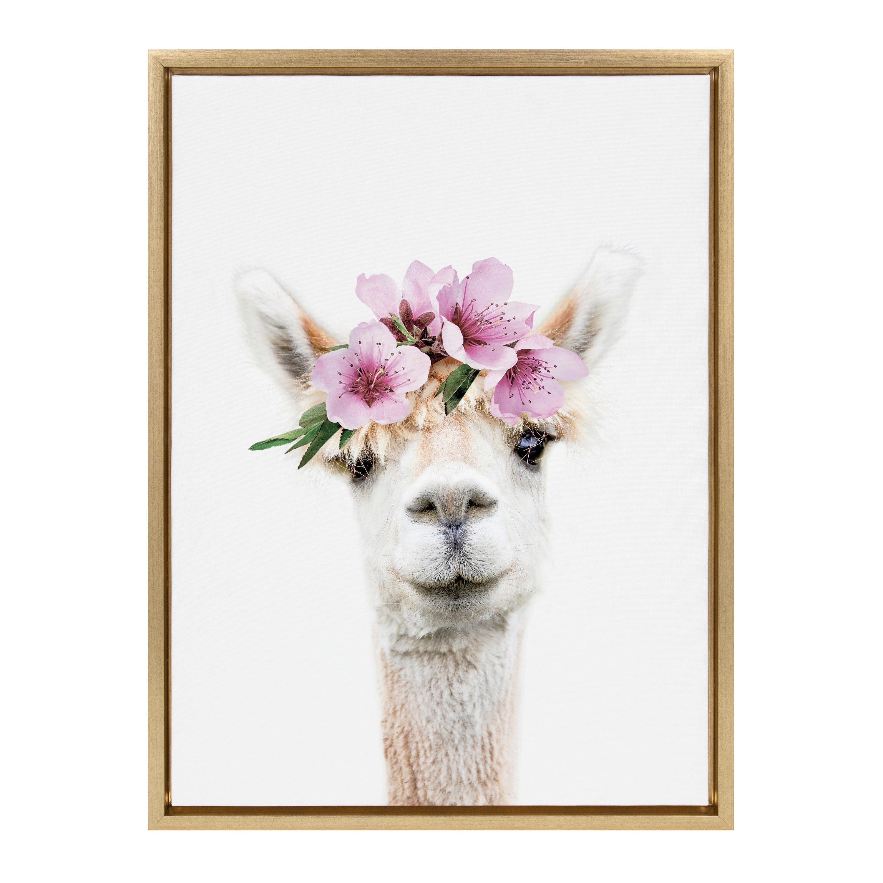 Sylvie Flower Crown Alpaca Framed Canvas by Amy Peterson Art Studio