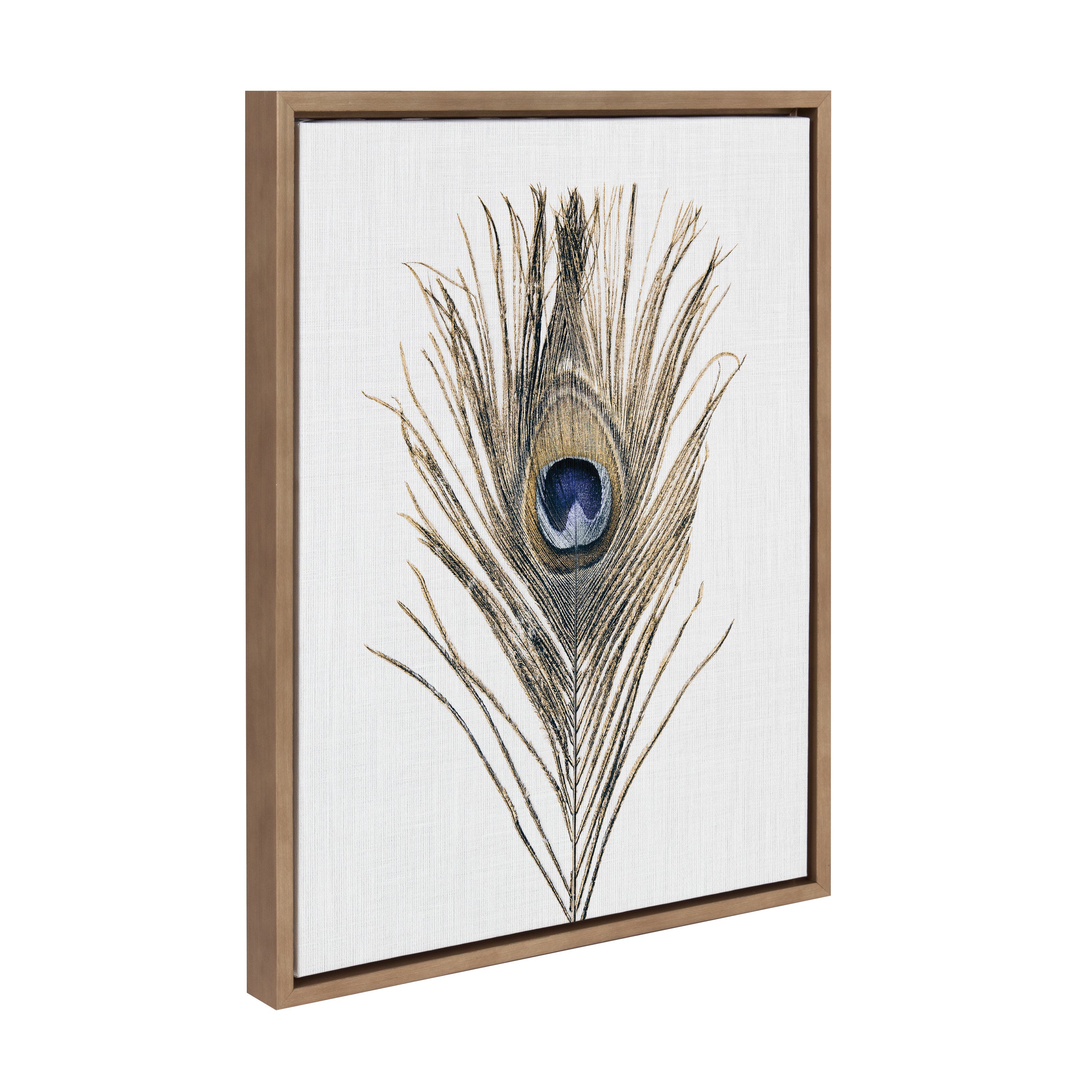 Sylvie Peacock Feather Framed Canvas by Simon Te of Tai Prints