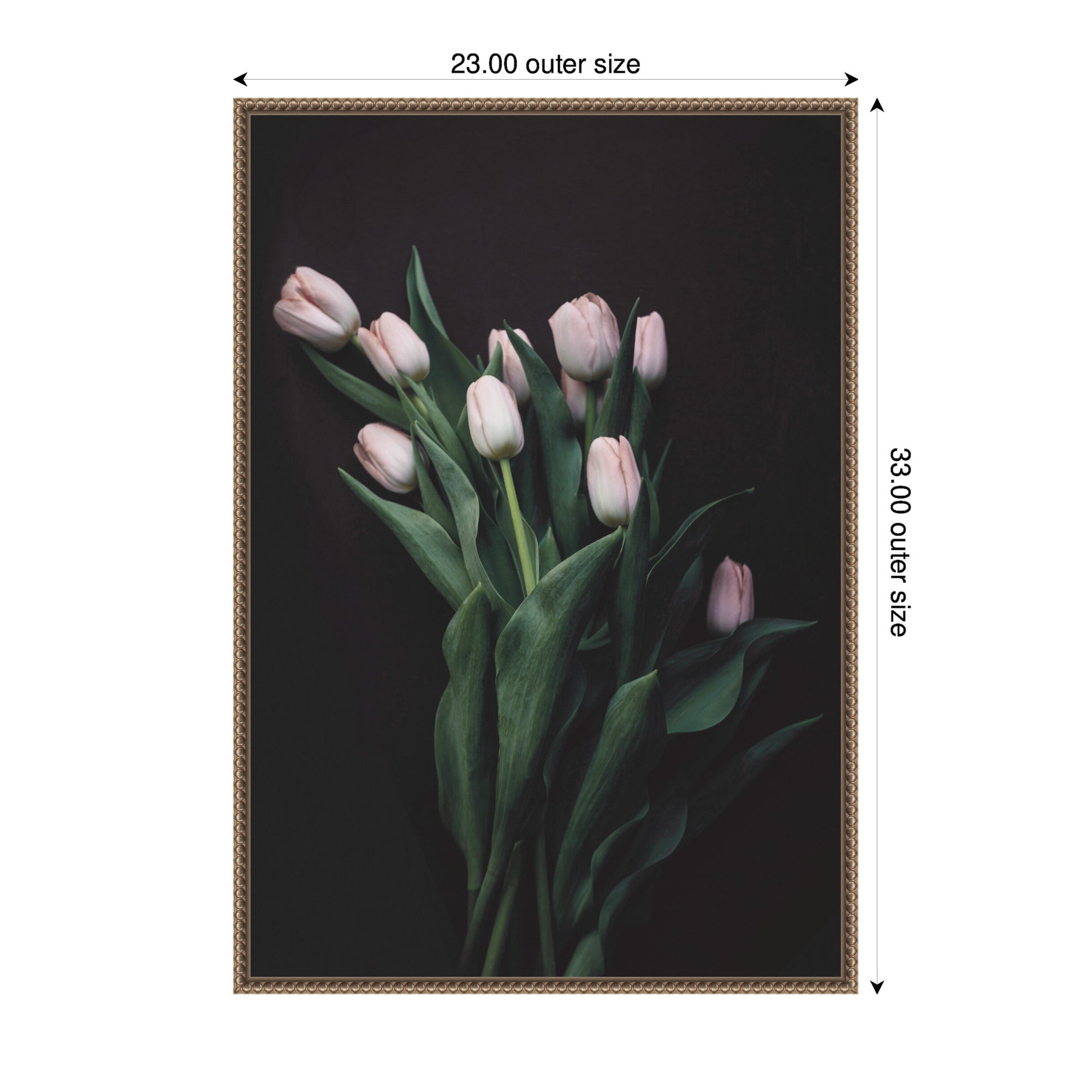 Blush Tulips by Emiko and Mark Franzen F2 Images Framed Canvas Wall Art Print