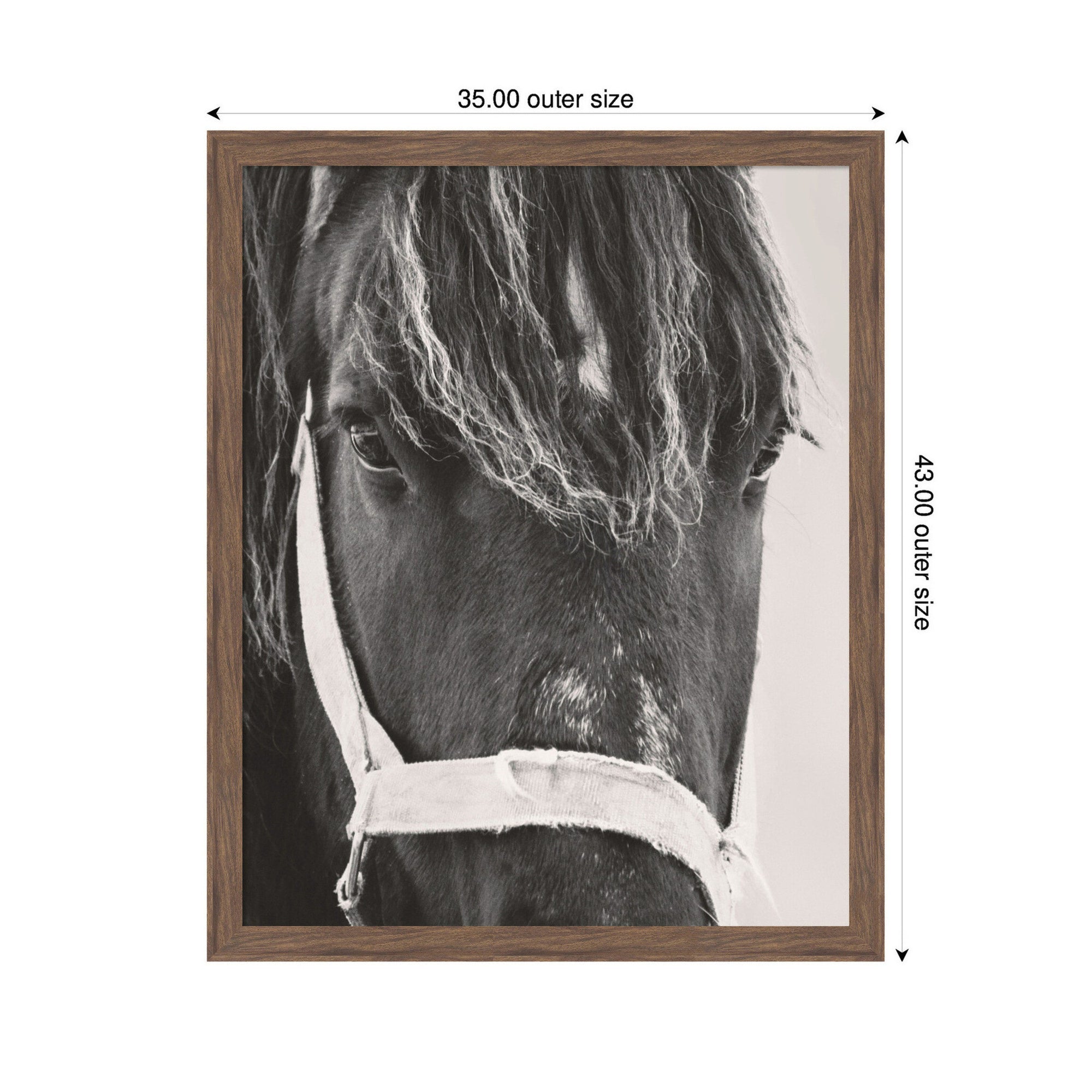 Black Horse by Emiko and Mark Franzen F2 Images Framed Wall Art Print