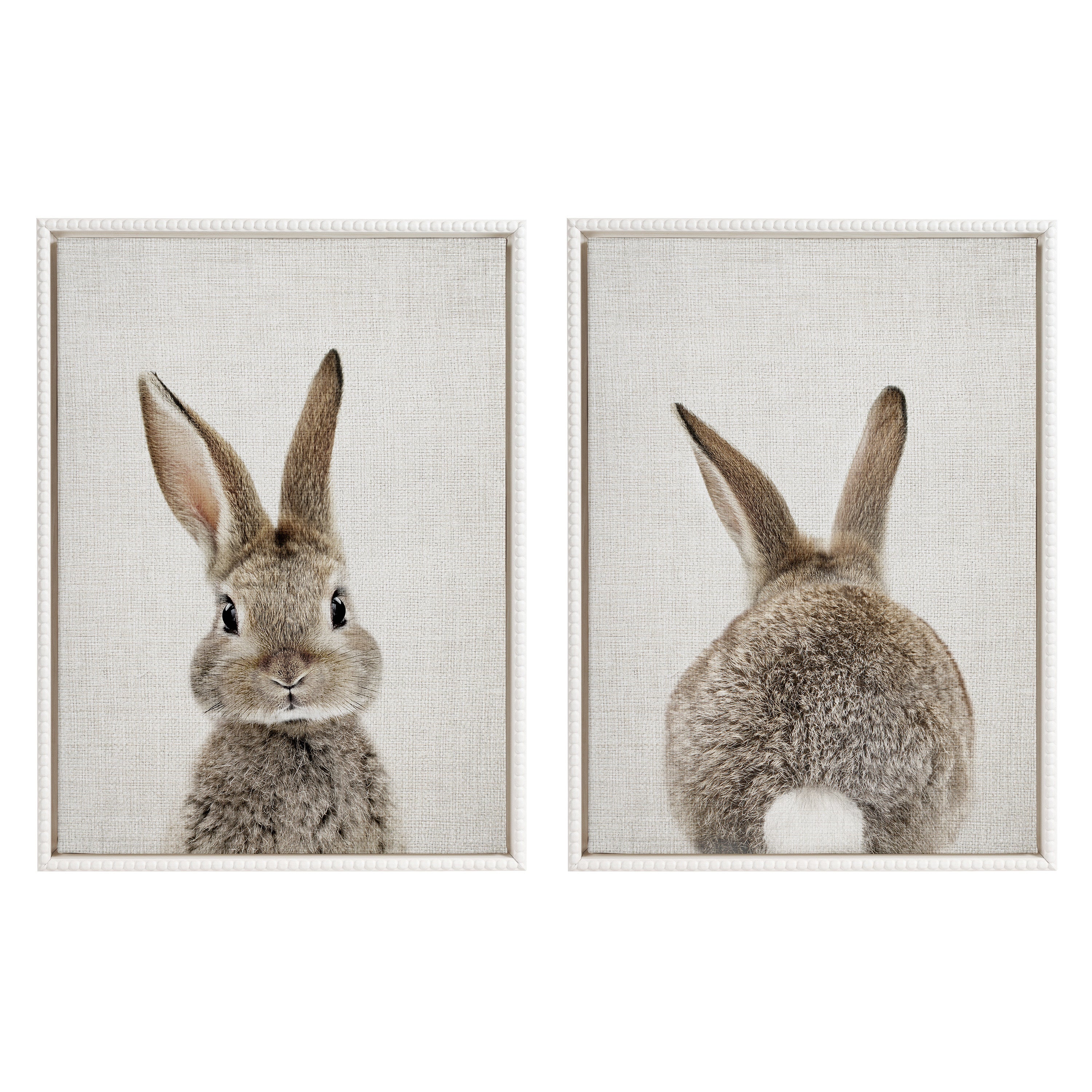 Sylvie Bunny Portrait and Bunny Tail Framed Canvas Art Set by Amy Peterson Art Studio