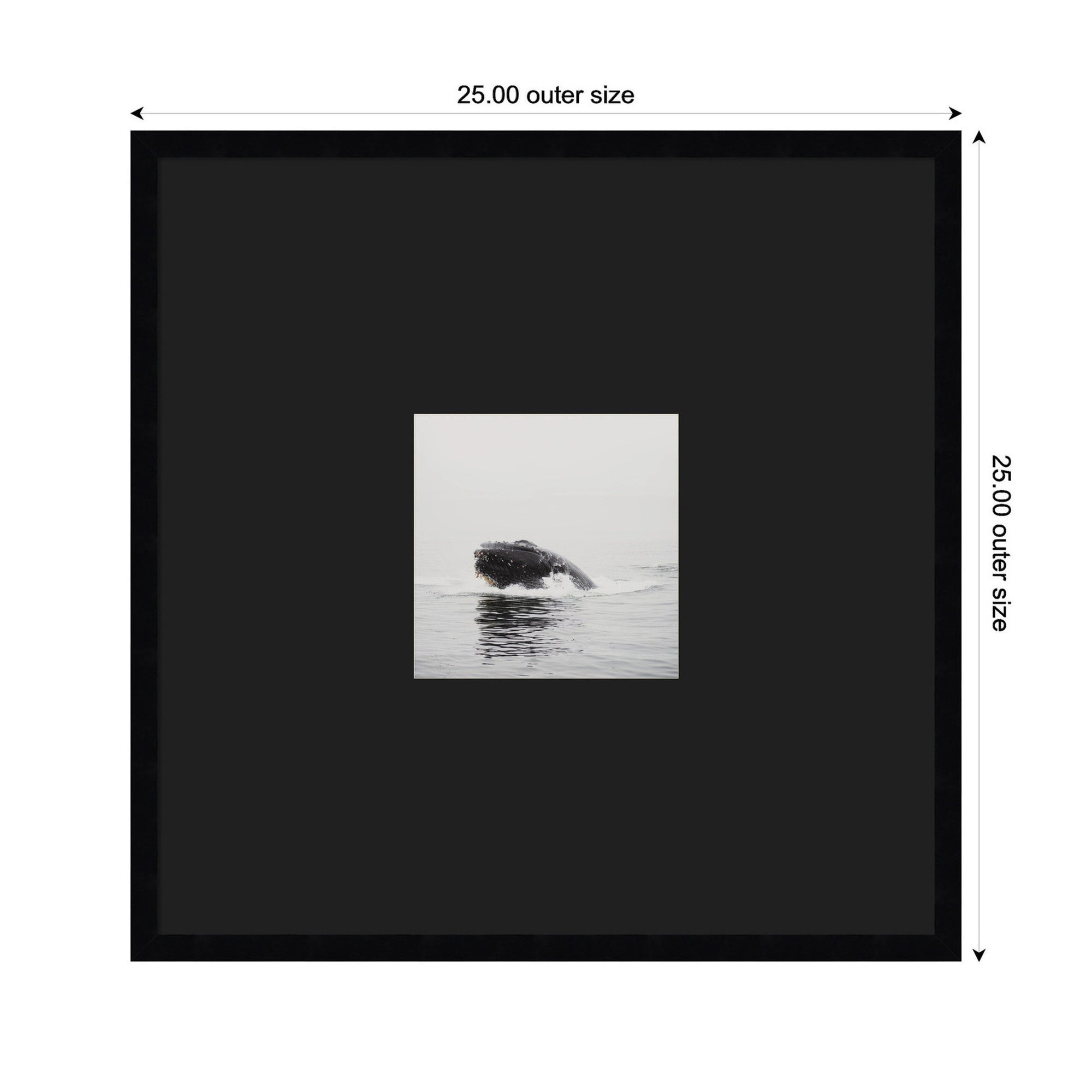 Humpback Whale No.
4 by Laura Evans Framed Wall Art Print Matted
