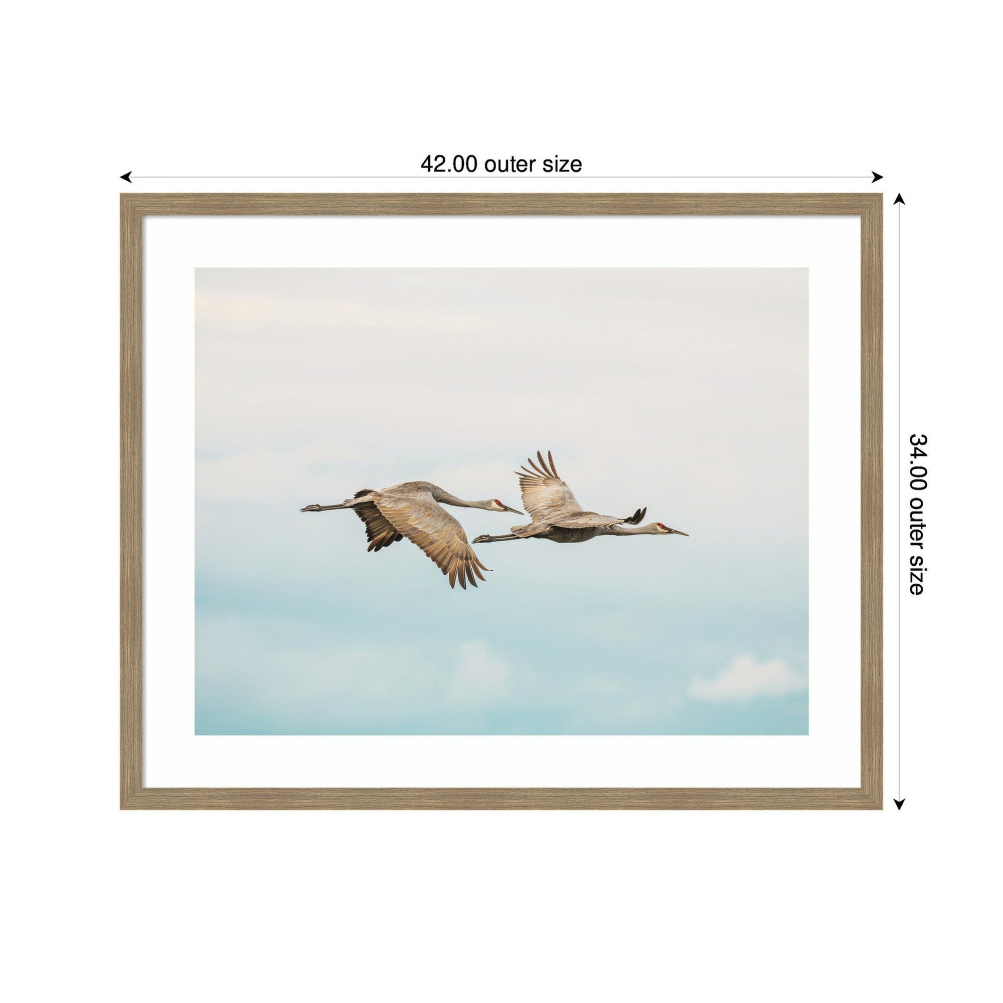 Cranes Flying by Emiko and Mark Franzen F2 Images Framed Wall Art Print