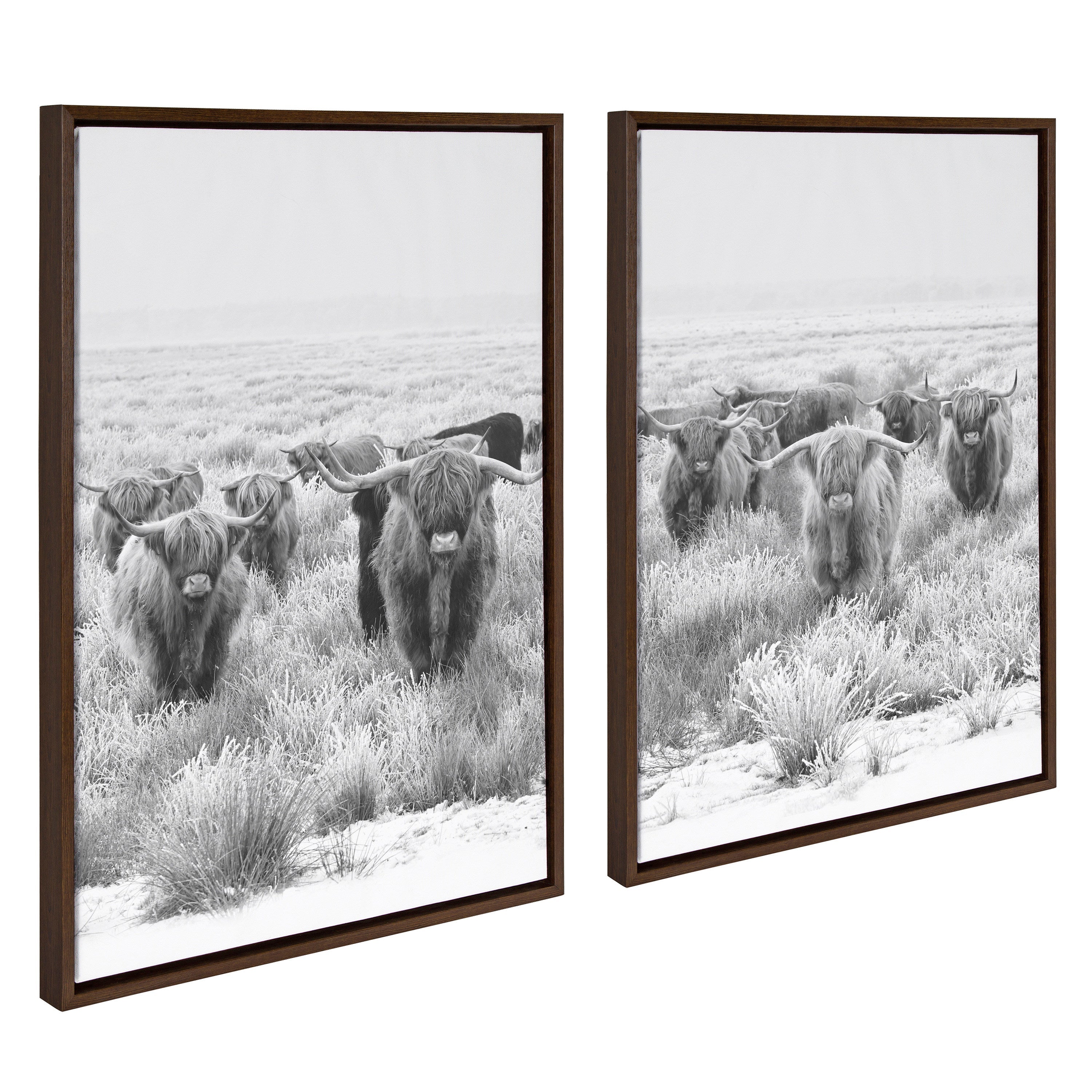 Sylvie Herd of Highland Cows Framed Canvas by The Creative Bunch Studio by kateandlaurel - product image 8 for Resin Society