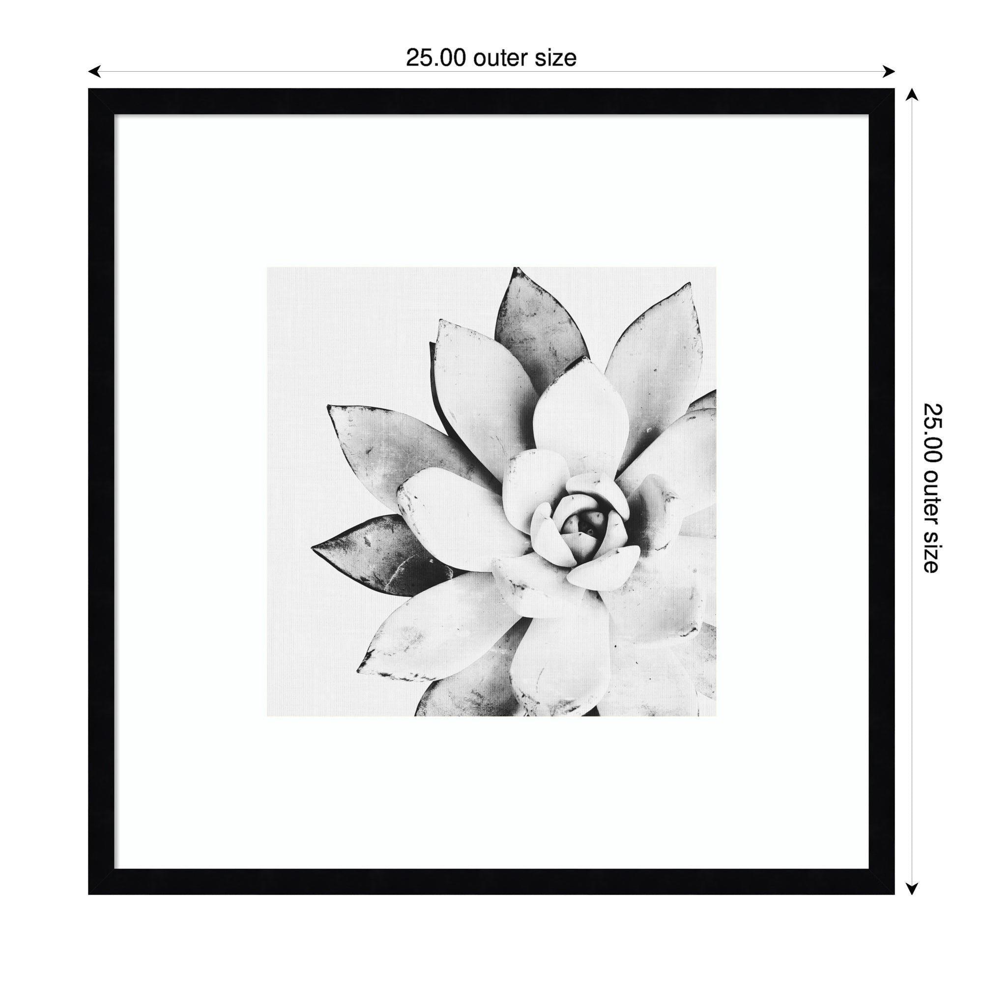 Modern Succulent by Tai Prints Framed Wall Art Print