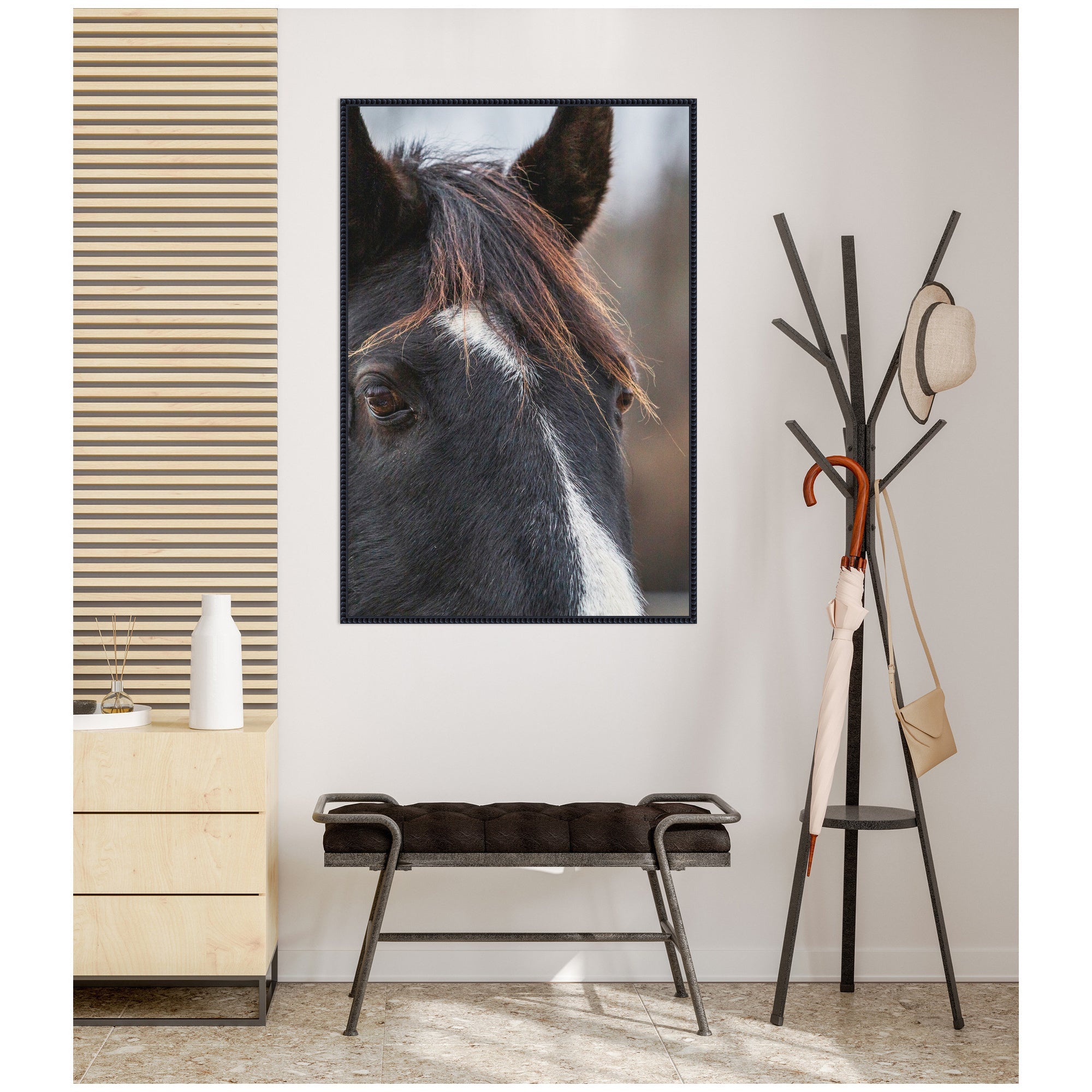 Black and White Horse by Emiko and Mark Franzen F2 Images Framed Canvas Wall Art Print
