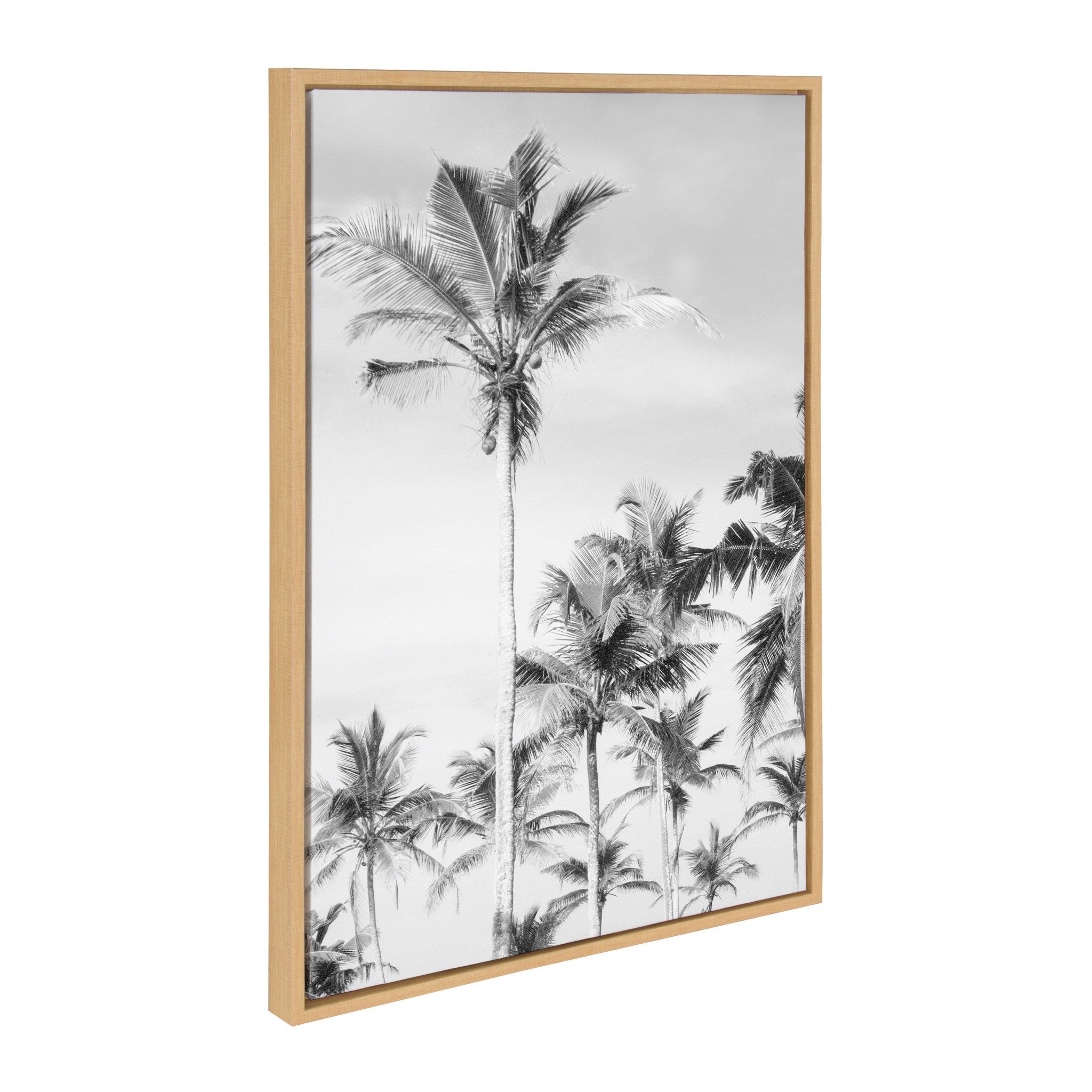 Sylvie Coastal Coconut Palm Tree Beach Black and White Framed Canvas Art Set