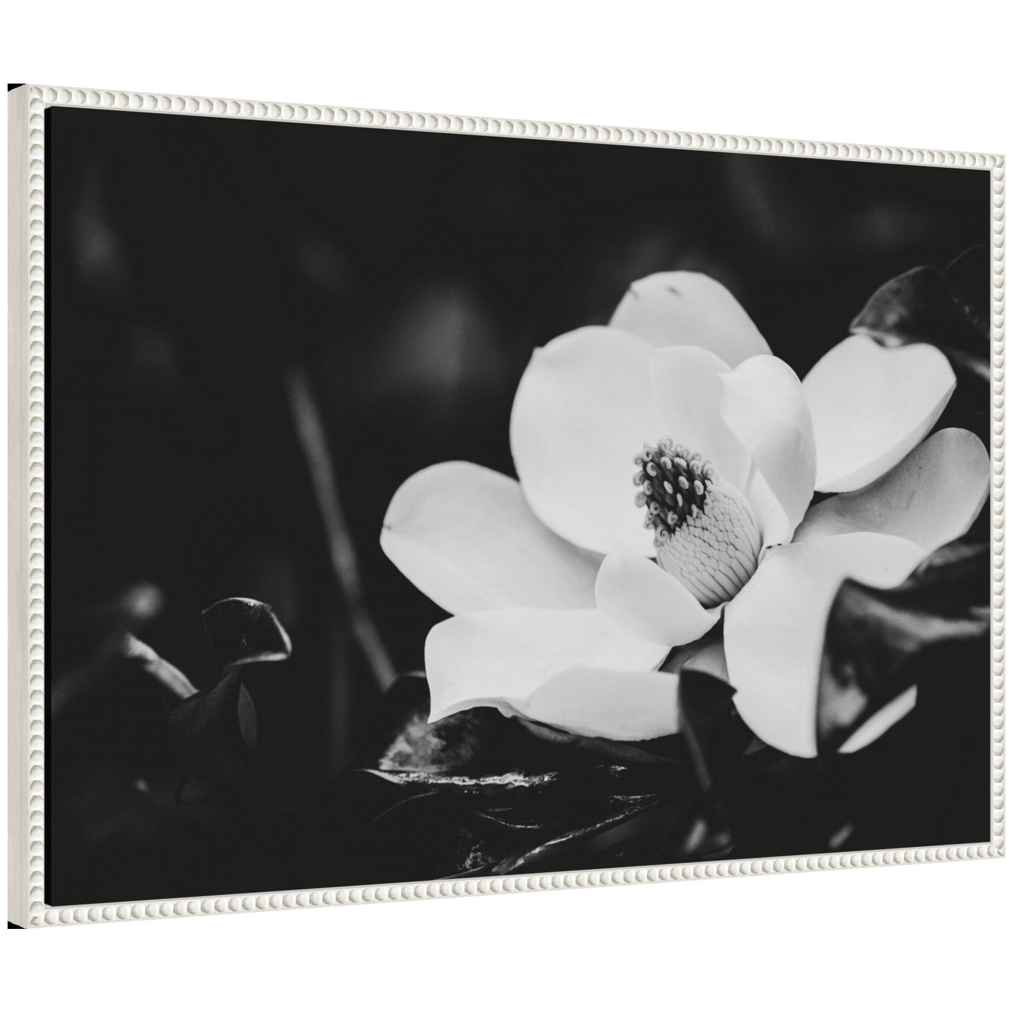 Sylvie Magnolias Framed Canvas by Alicia Abla showing floral magnolia artwork in vintage beaded frame