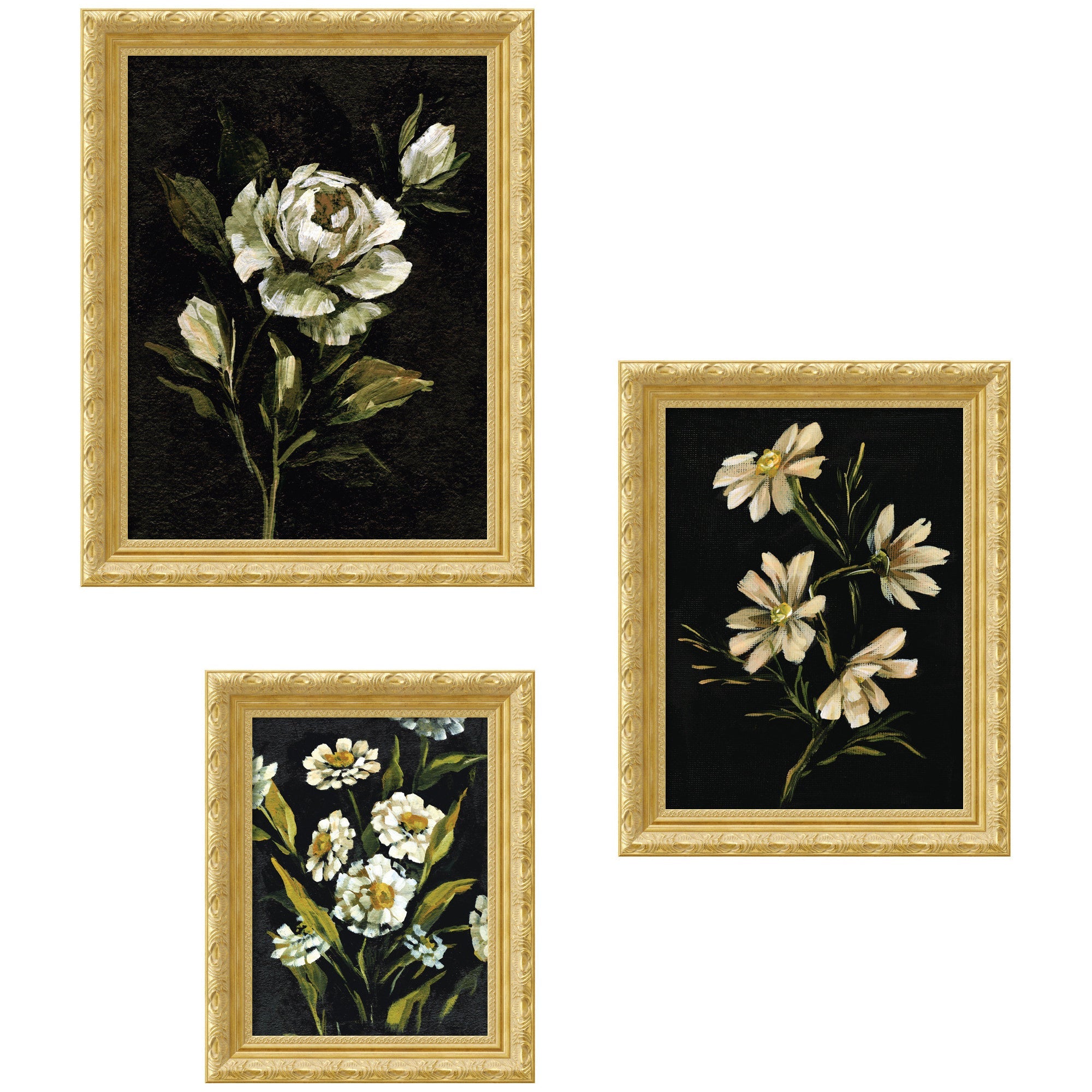 Moody Whites Floral No.
2 3 Piece Framed Wall Art Print Set by Annie Quigley