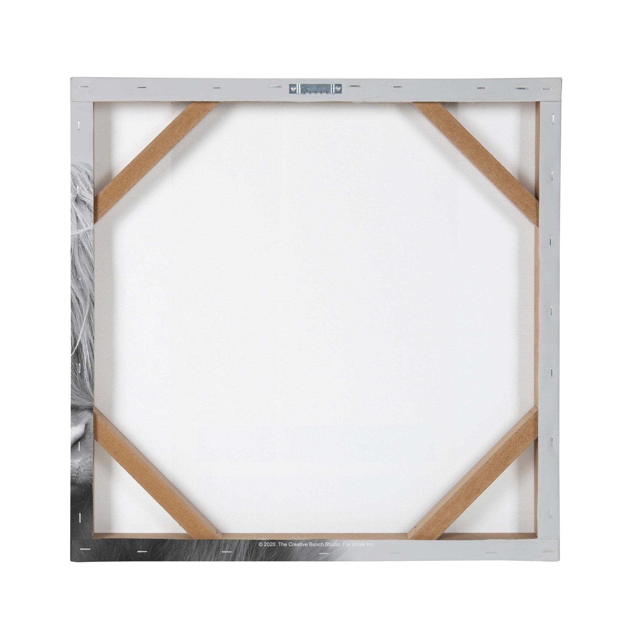 Hey Dude Highland Cow Gray Canvas by The Creative Bunch Studio by kateandlaurel - product image 4 for Resin Society