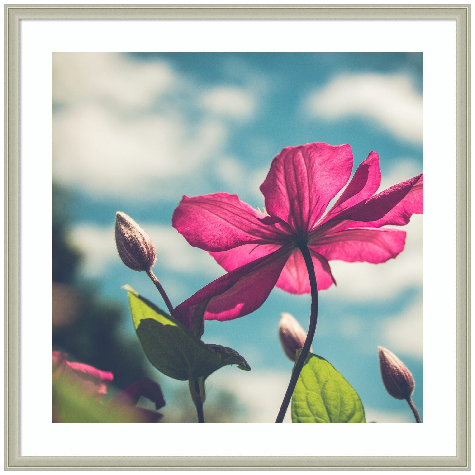 Framed Art Flower in the Sky by Stephanie Klatt