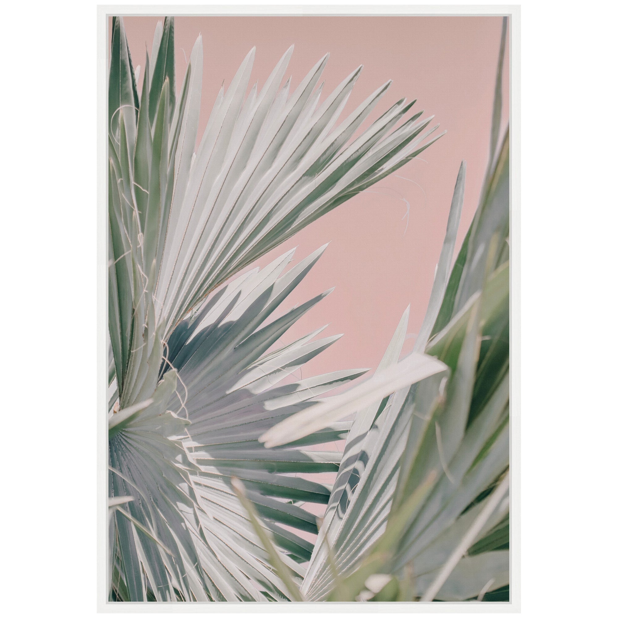 Sylvie Tropical Pink Bismarck Framed Canvas by Alicia Bock