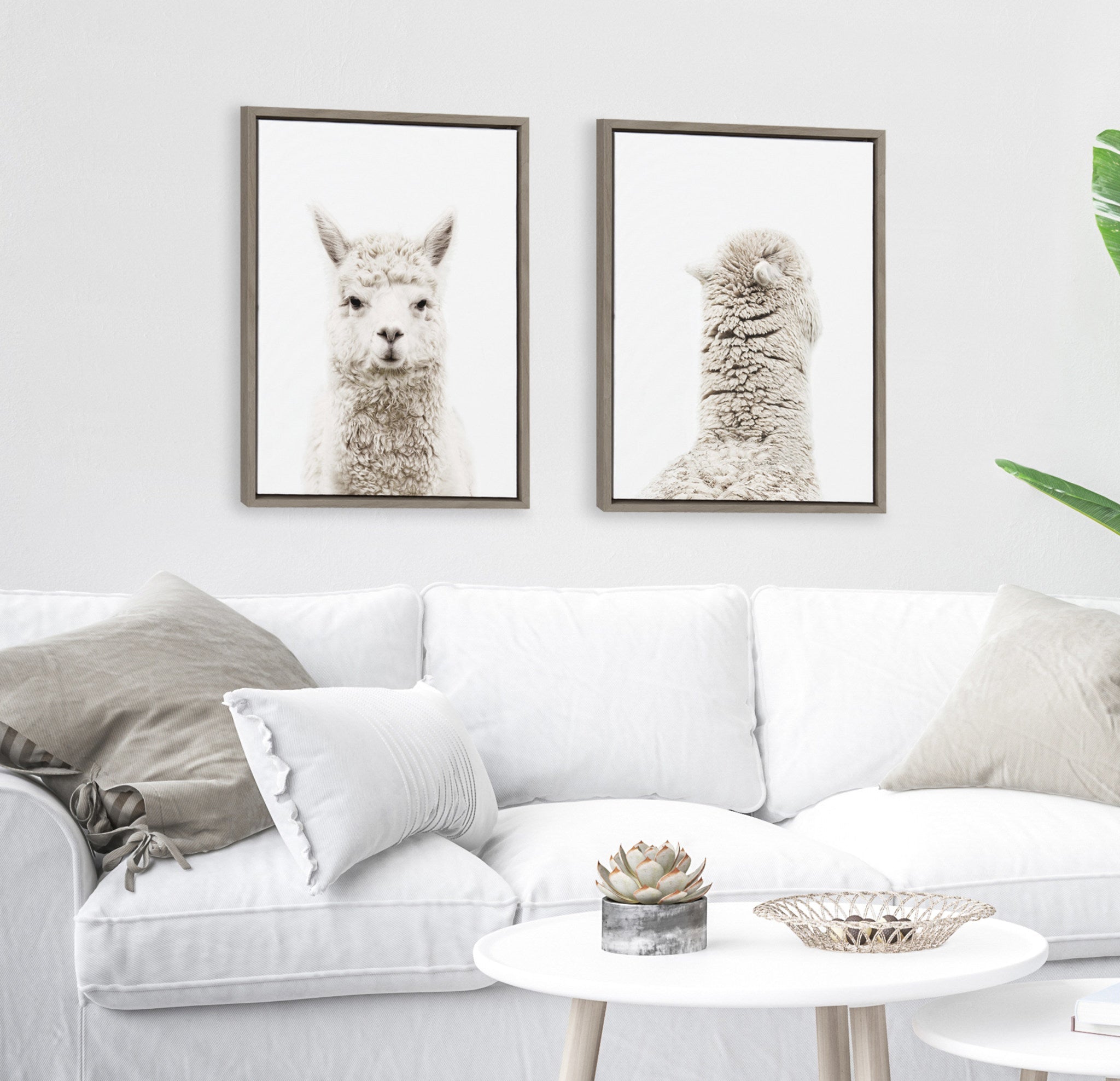 Sylvie Alpaca Front and Alpaca Back Framed Canvas Art Set by Amy Peterson Art Studio
