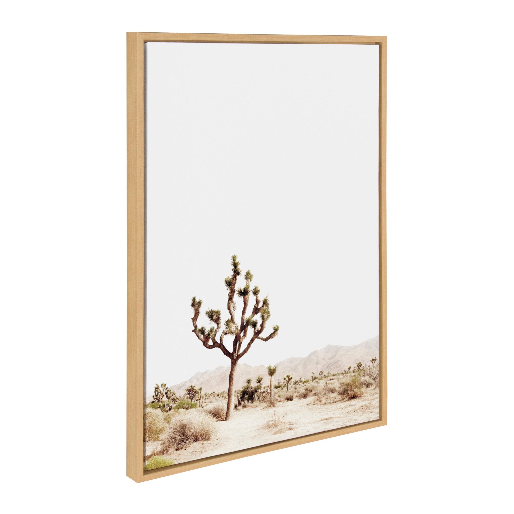 Sylvie Lone Joshua Tree, Group of Cacti and Film Grain Cactus 1 Framed Canvas Art Set by Various Artists