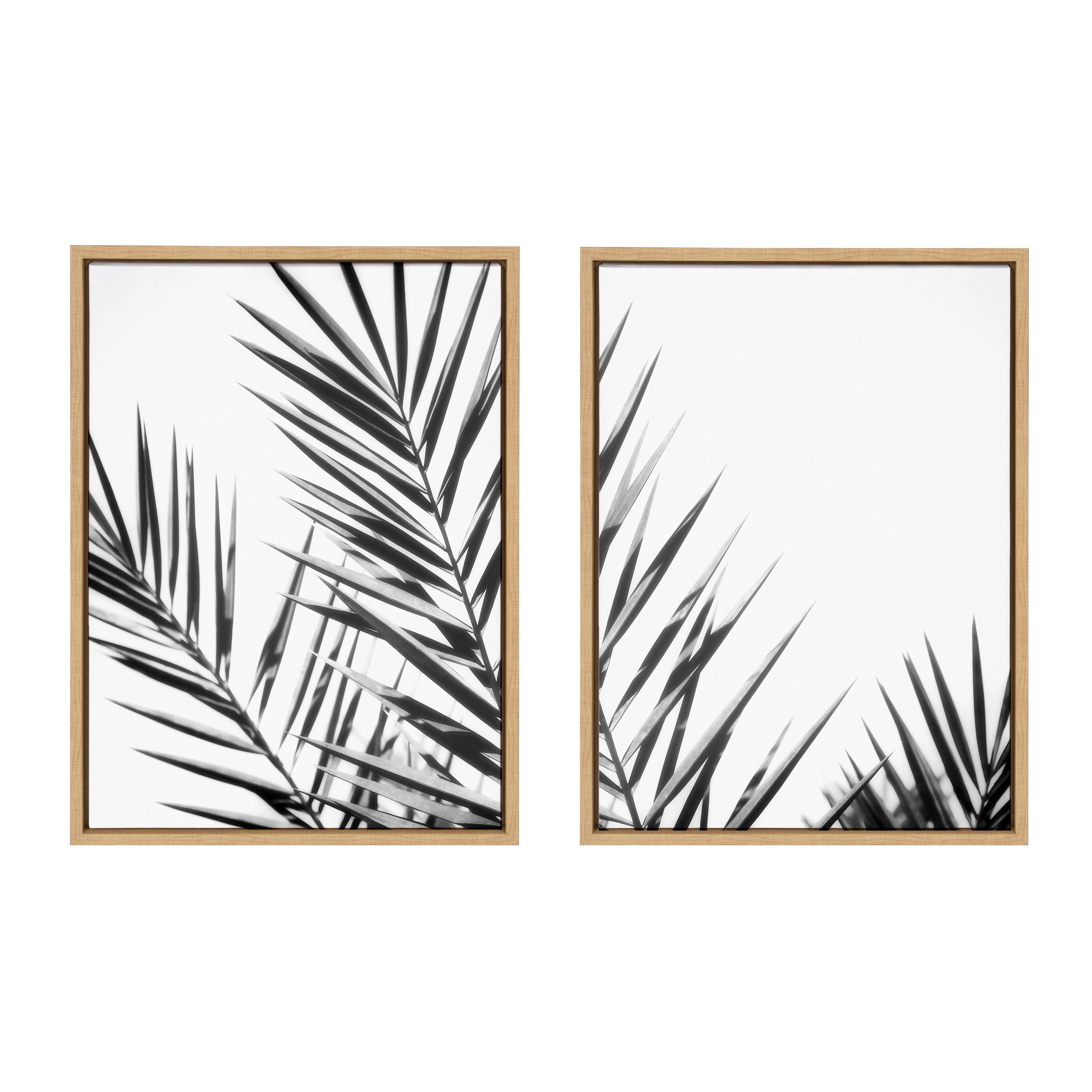 Sylvie Palm I and II BW Framed Canvas by kateandlaurel - main product image for Resin Society