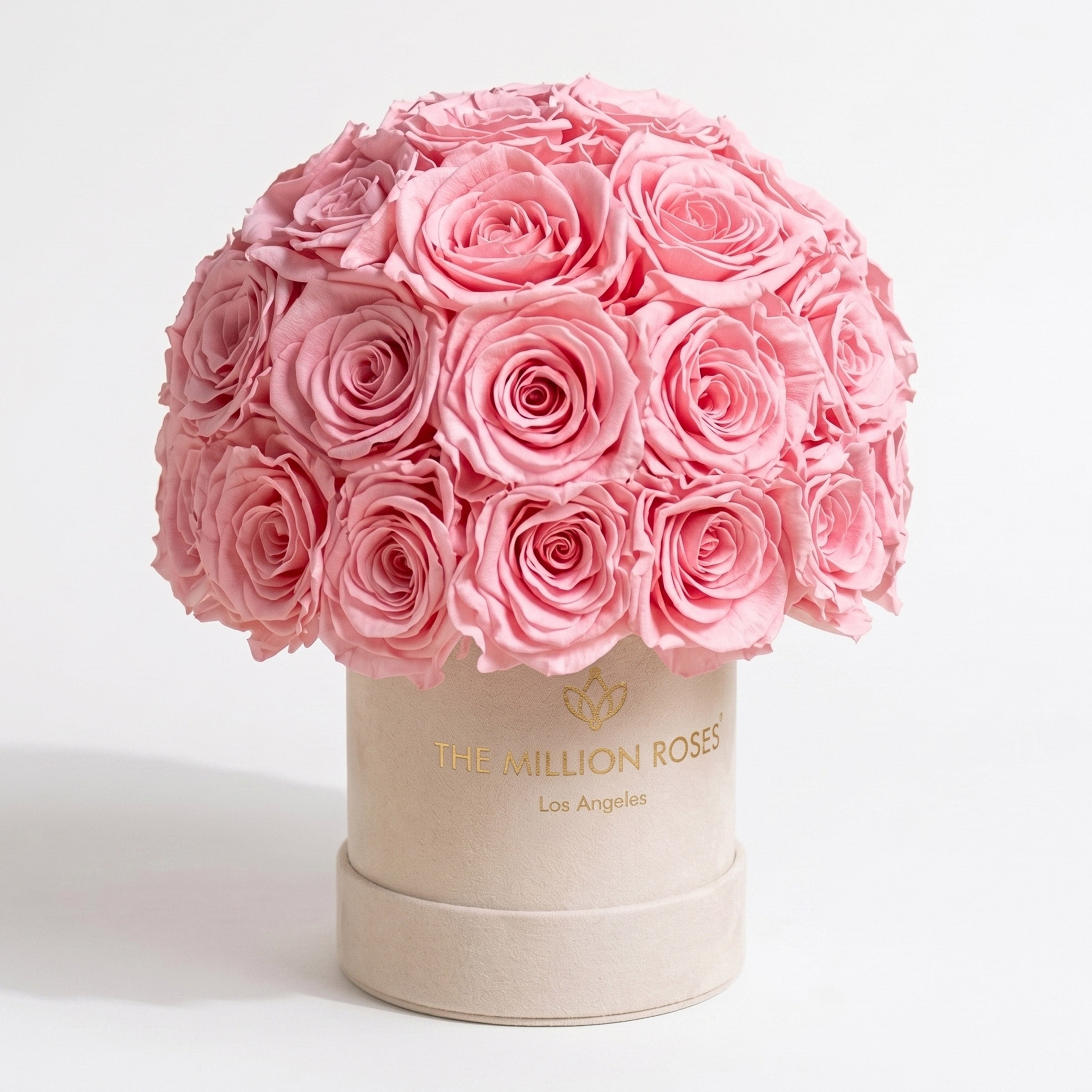 Beige suede Superdome box filled with 38-40 light pink roses arranged in a full, rounded crown